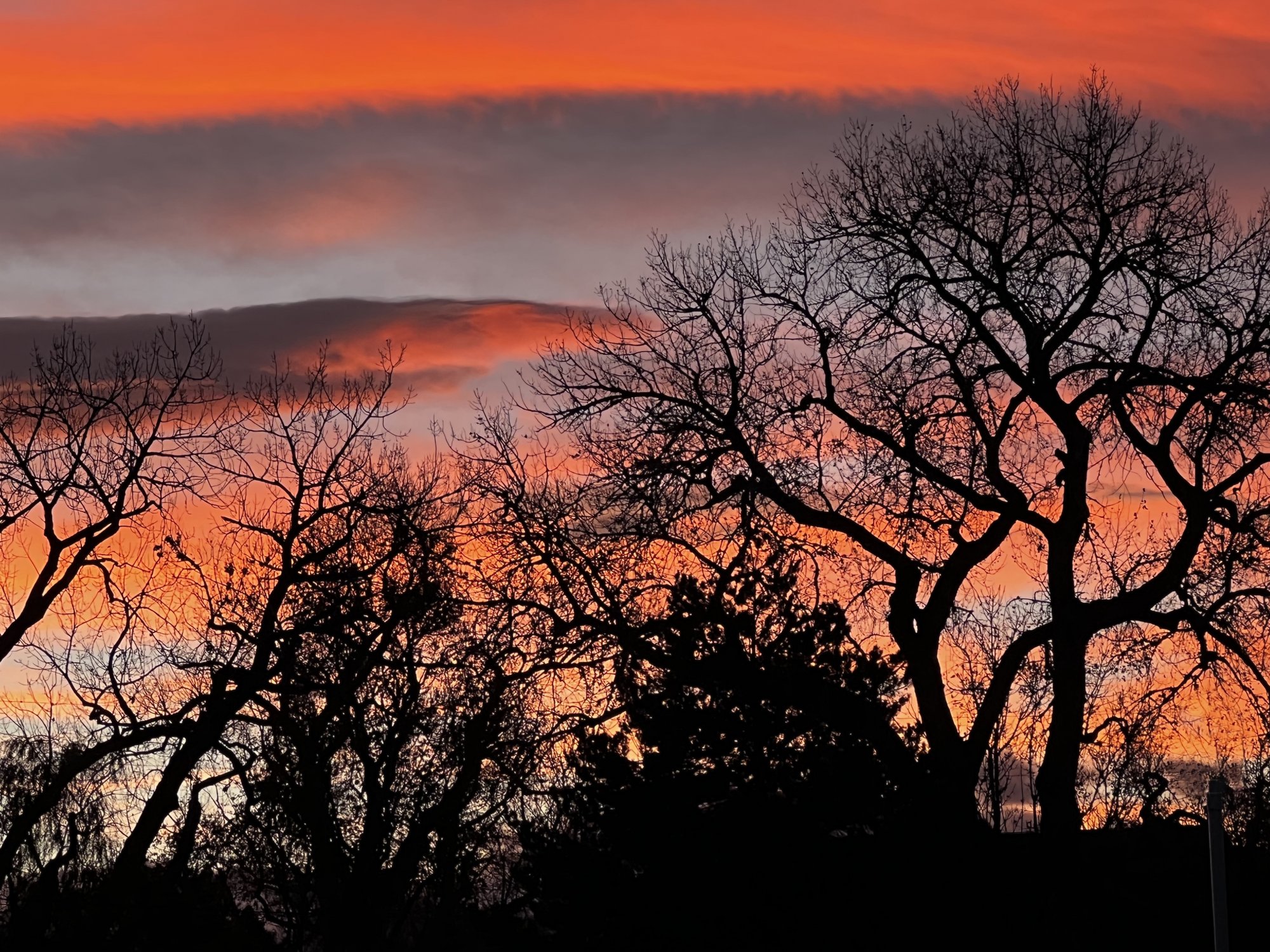 Sunset at the Lake 12Nov21.jpg