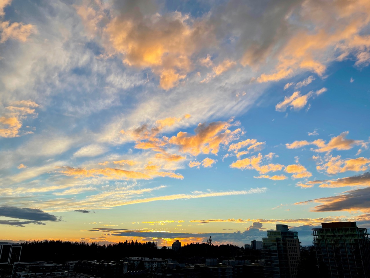 Sunset UBC.jpg