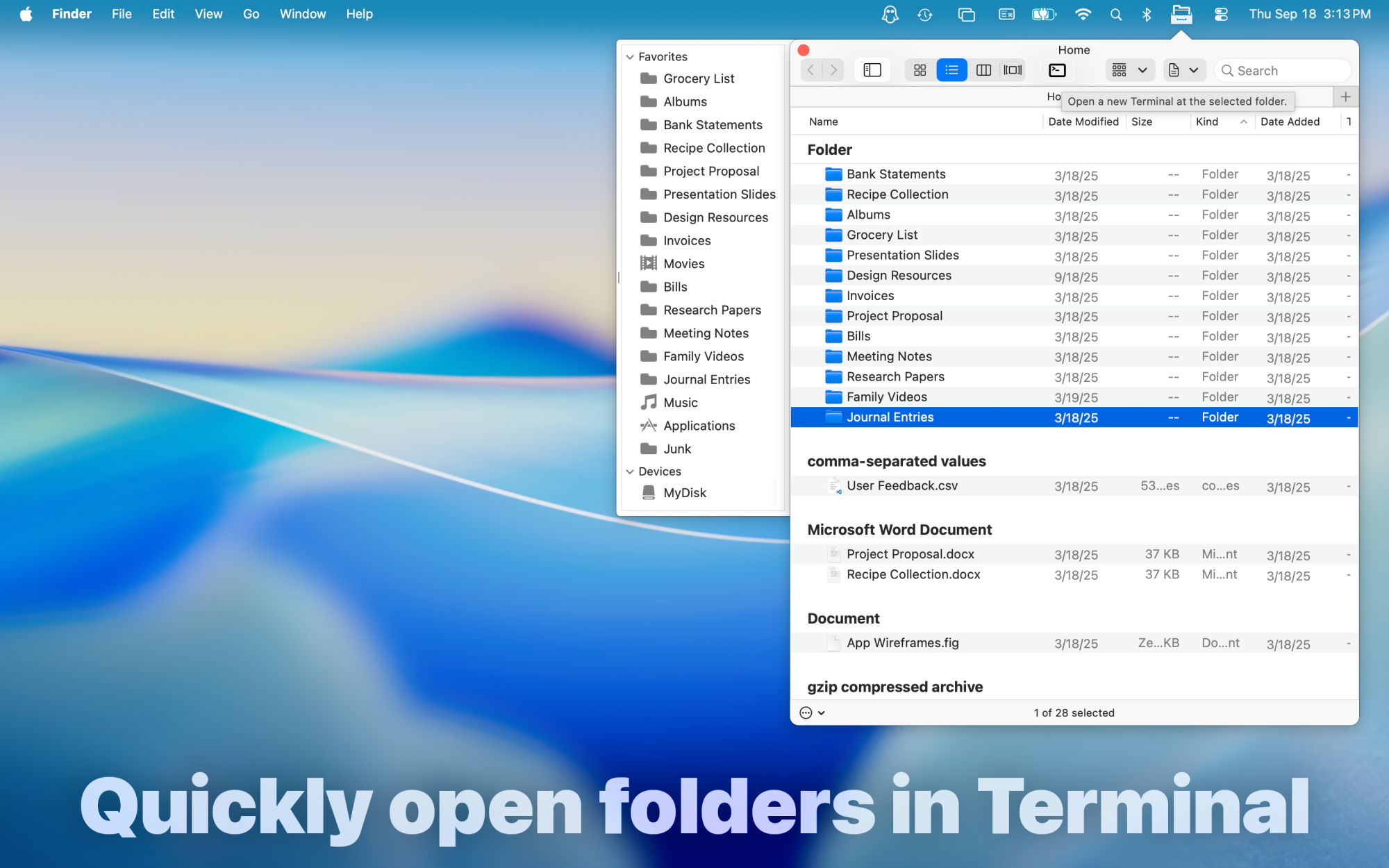 Open folders in Terminal quickly from File Cabinet Pro's toolbar.