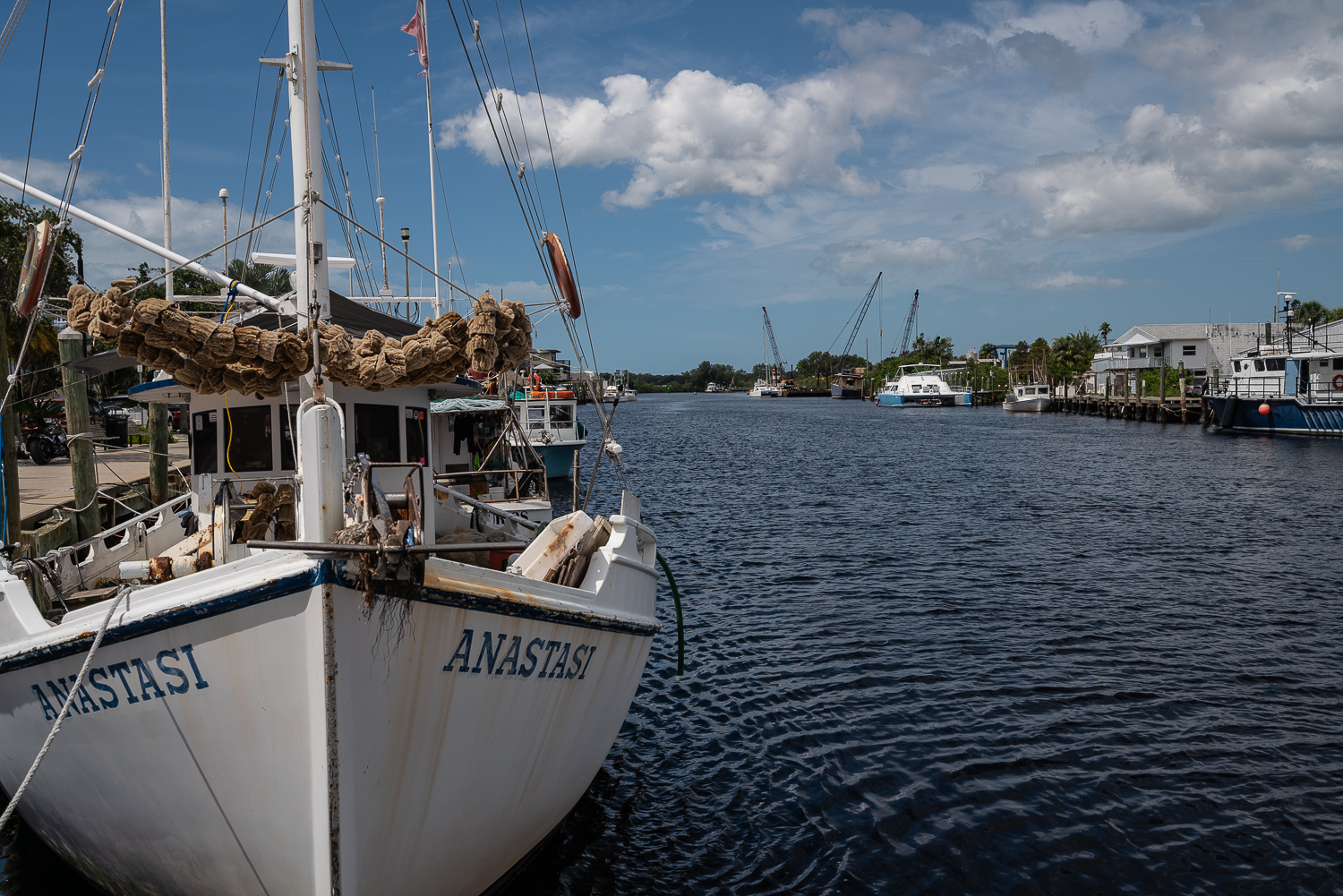 Tarpon Springs-1500px-1.JPG