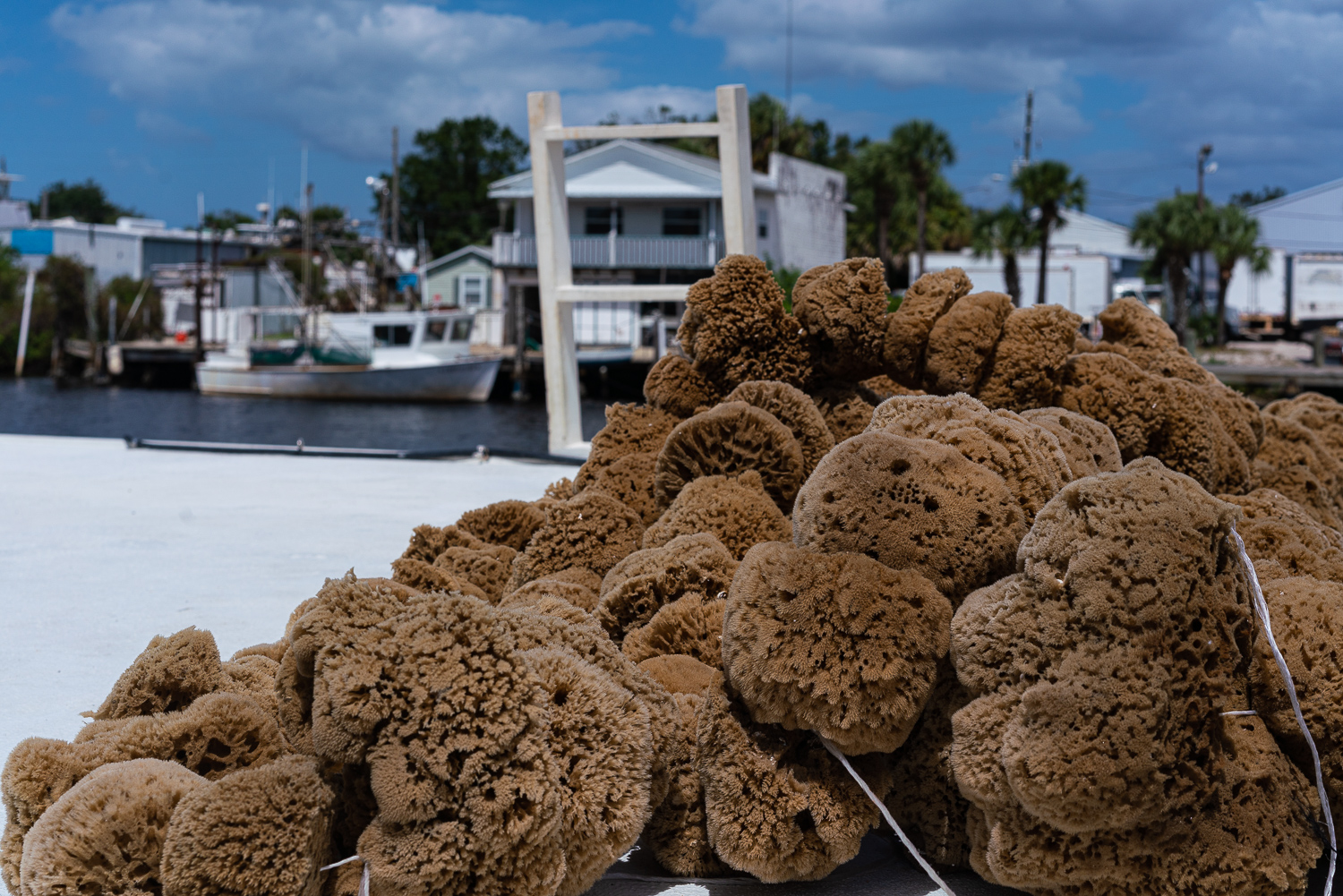 Tarpon Springs-1500px-3.JPG