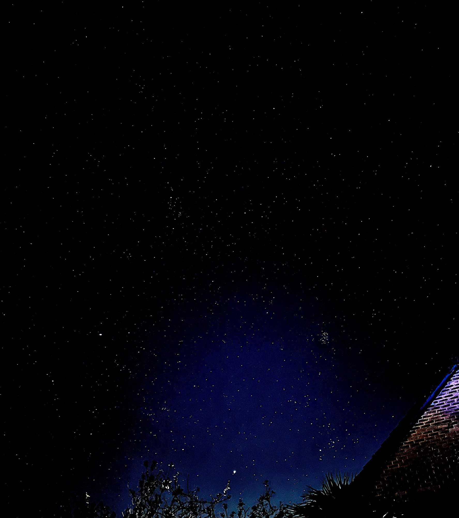 tempImageYcP3Fx.png