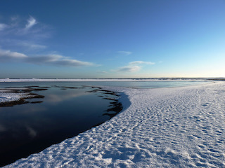 Tentsmuir beach Soctland.jpeg