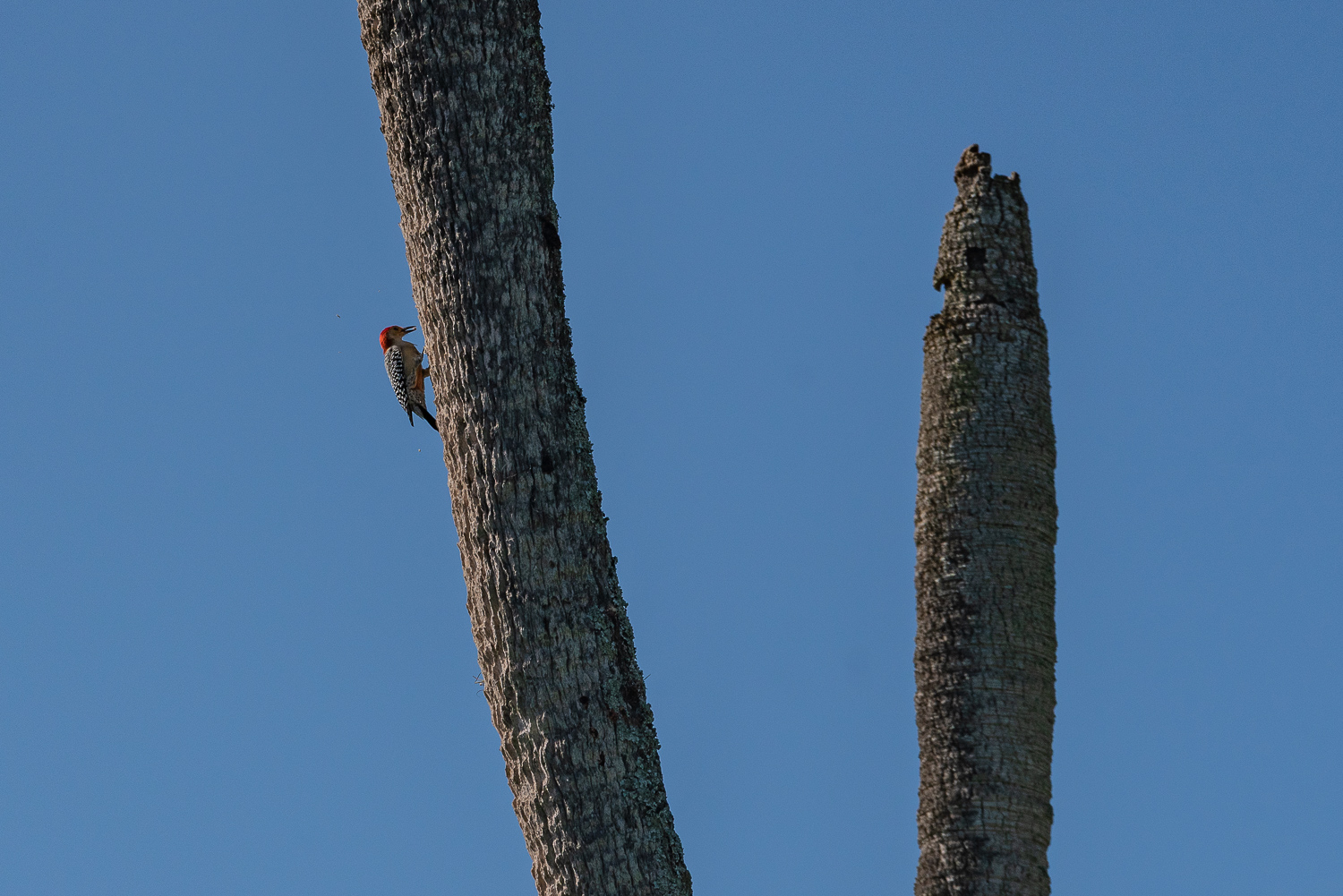 Thanksgiving hike - 1500px-30.JPG