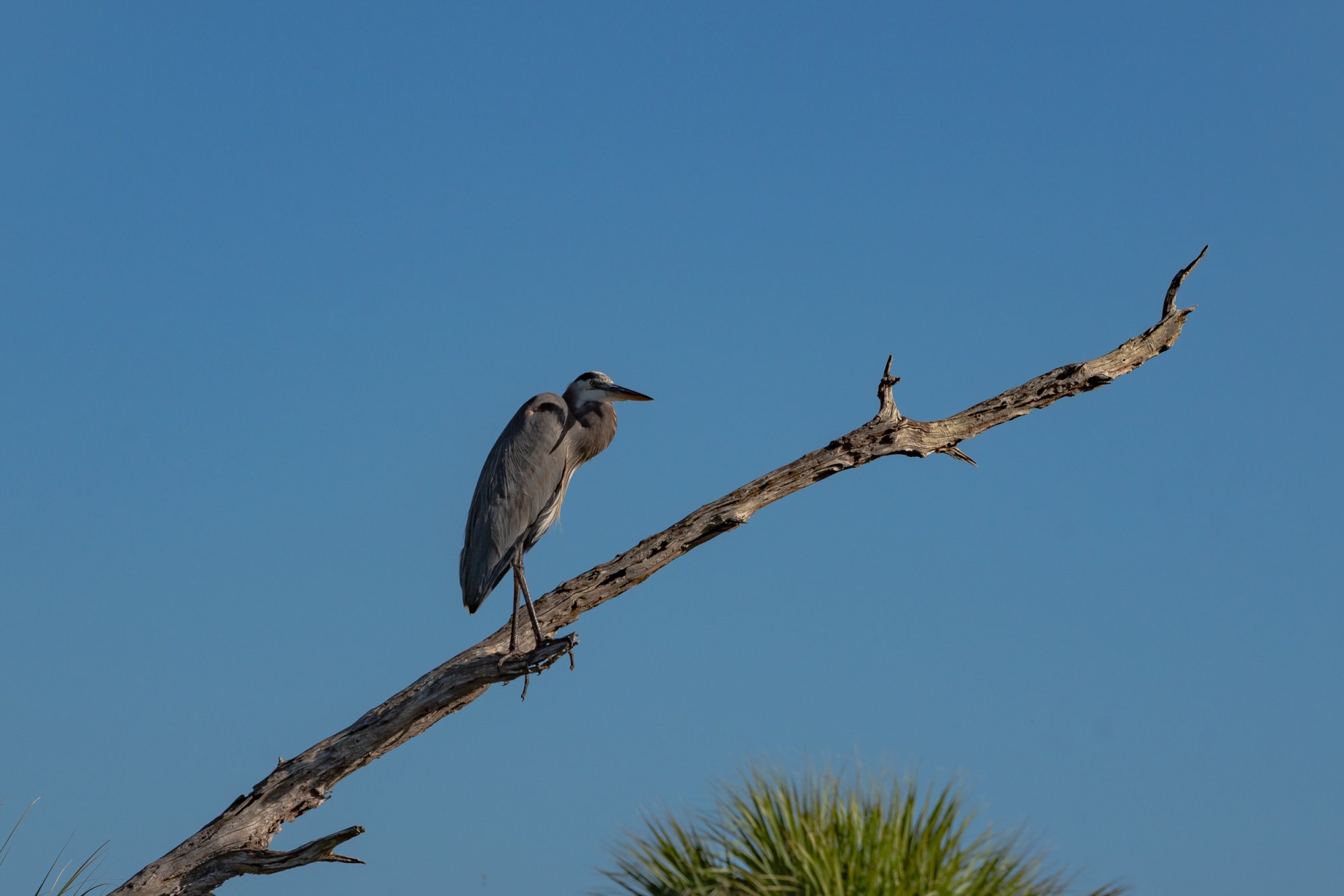 Thanksgiving hike - 2500px-3.JPG