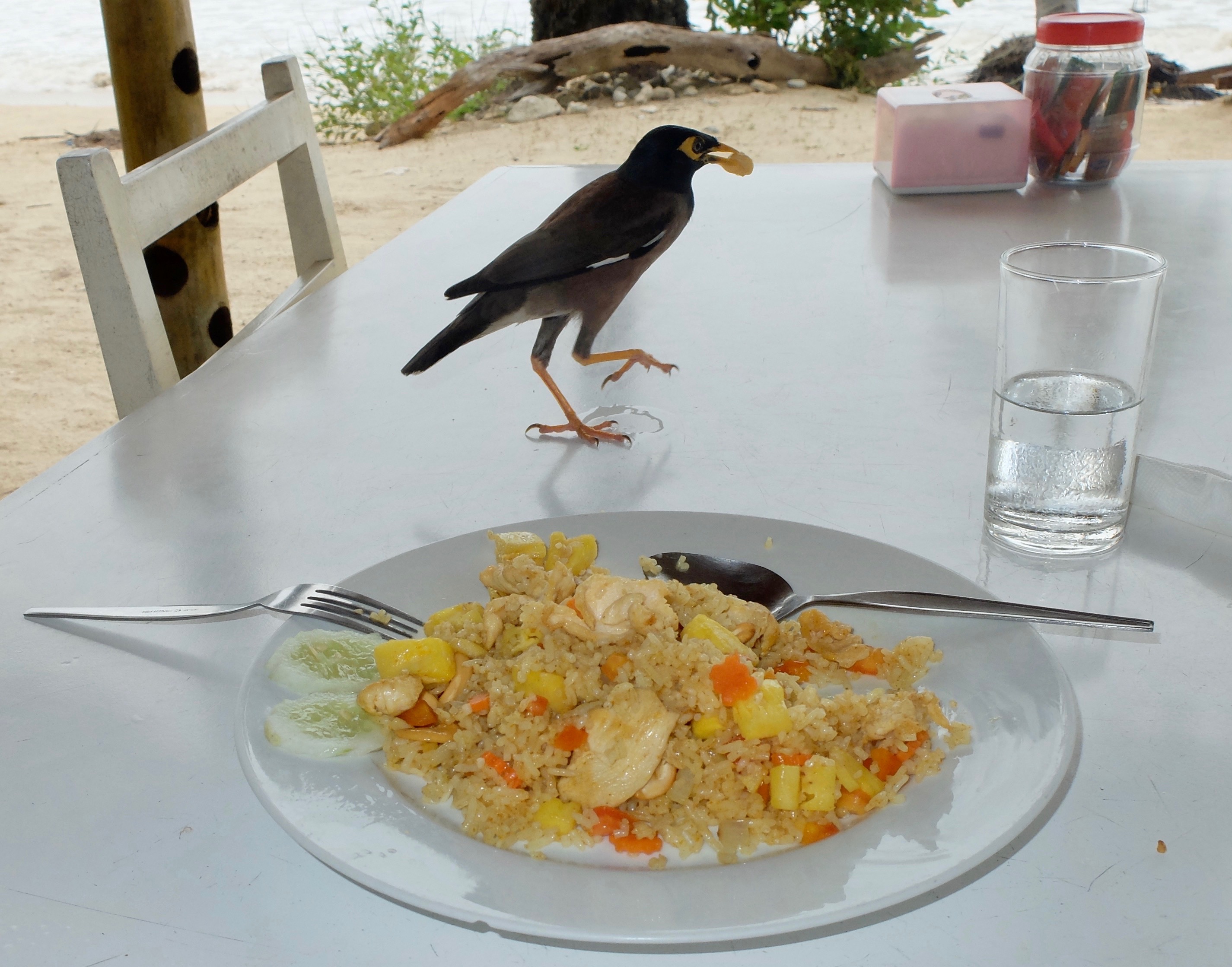 The Boatyard Restaurant near Pakarang Cape.jpg