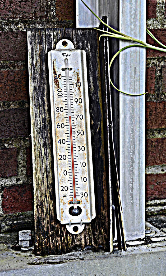 thermometer-2b copy.jpg