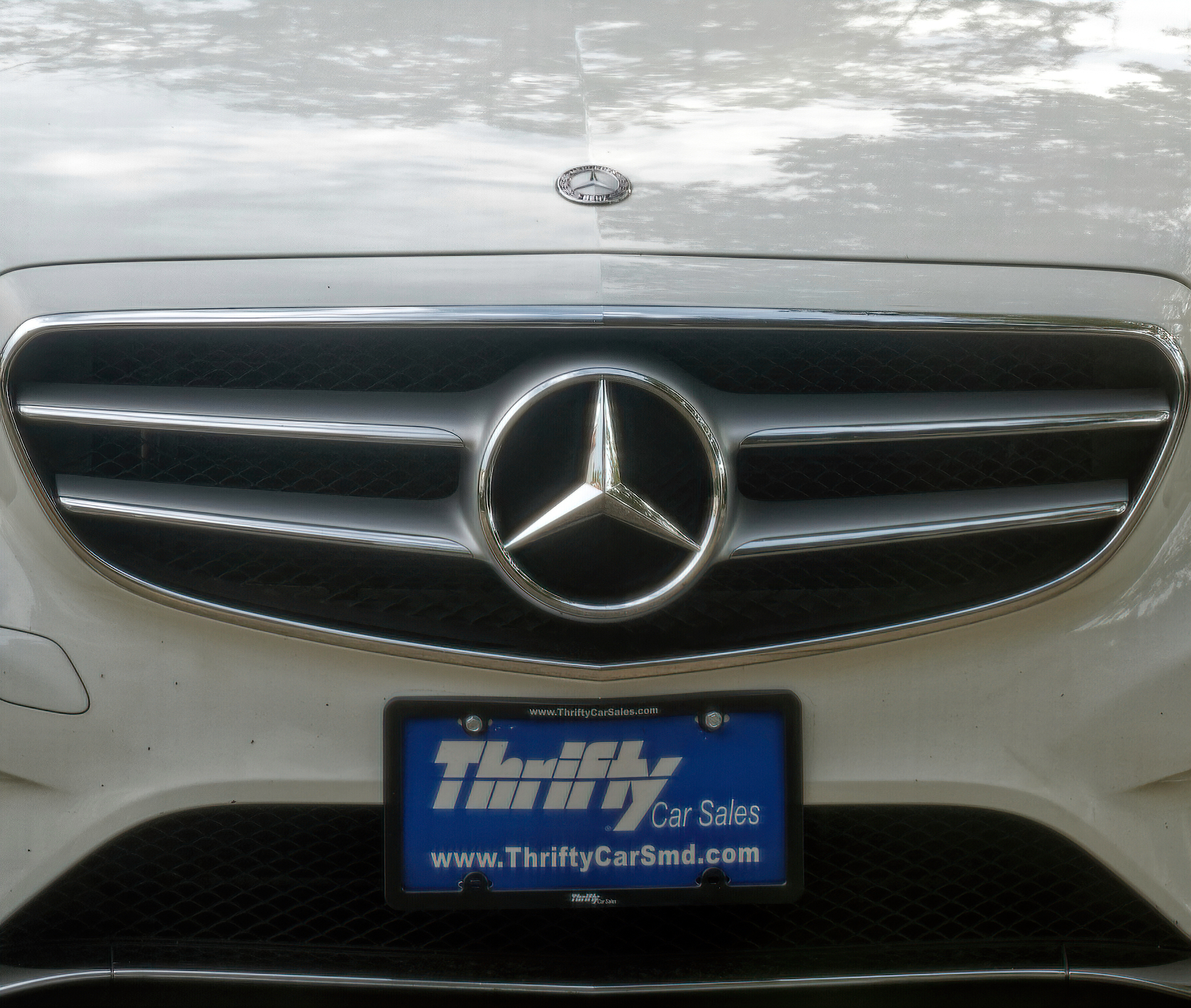 Thrifty Mercedes?.jpeg