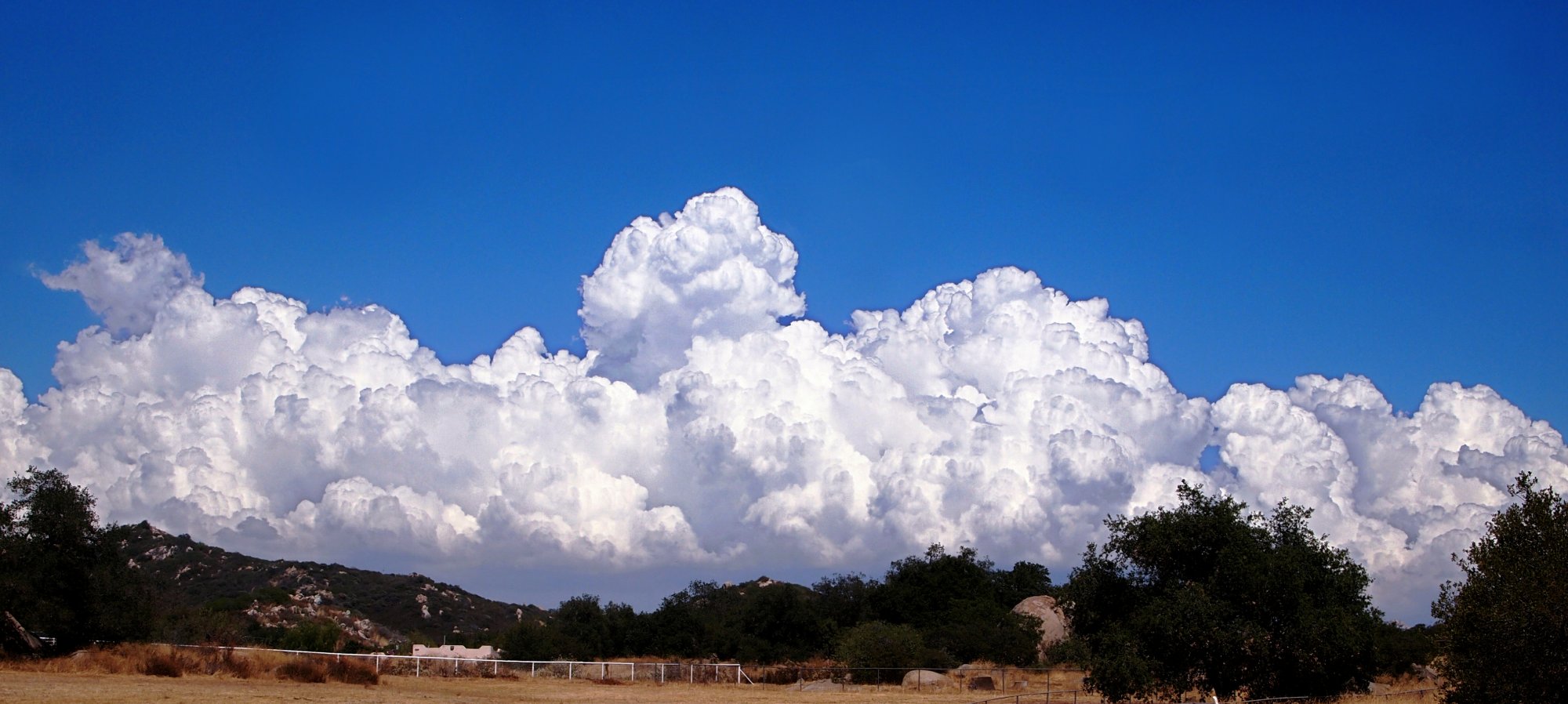 thunderhead at ranch 8.05.22 x2crop.jpg