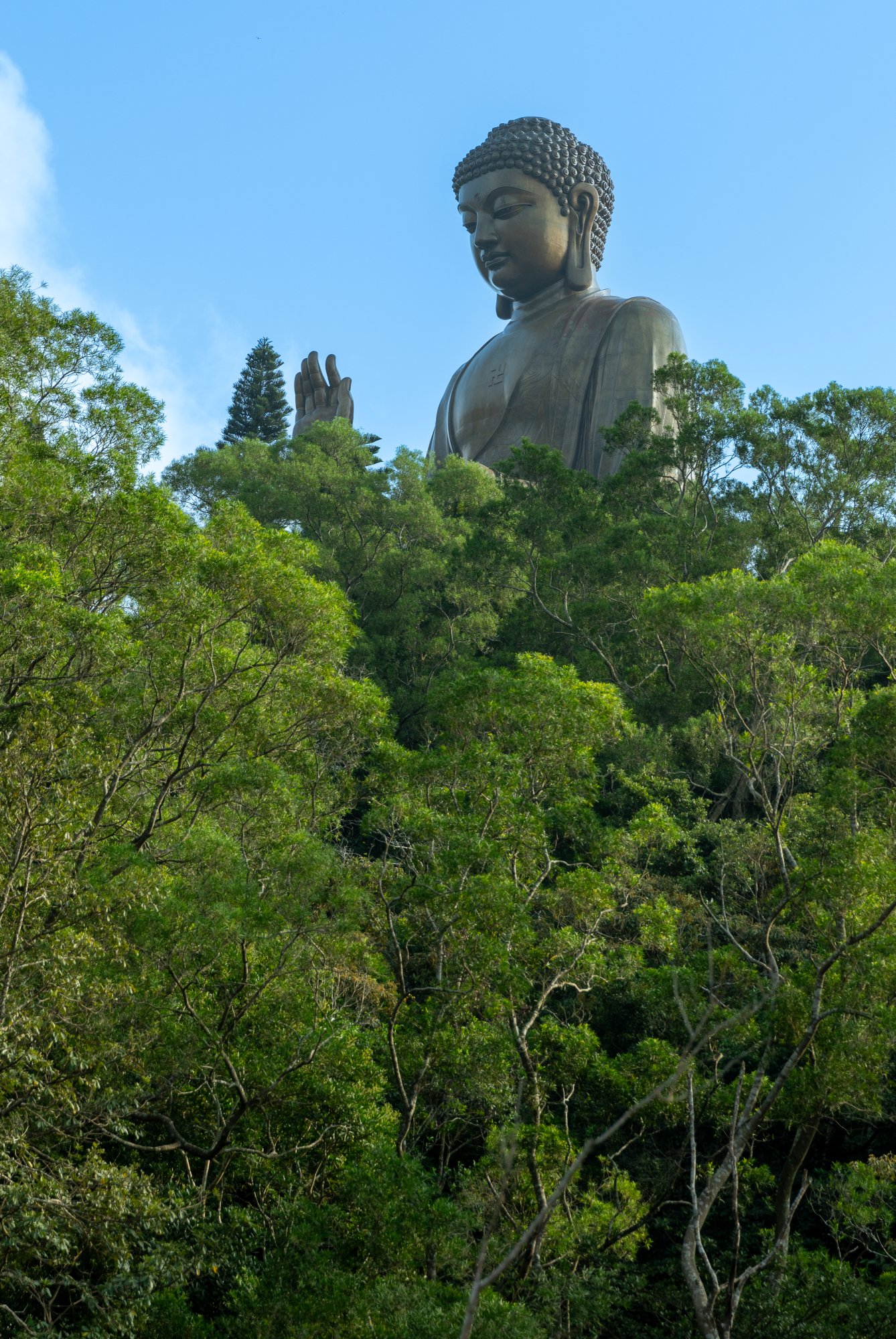 Tian Tan Buddha.jpg