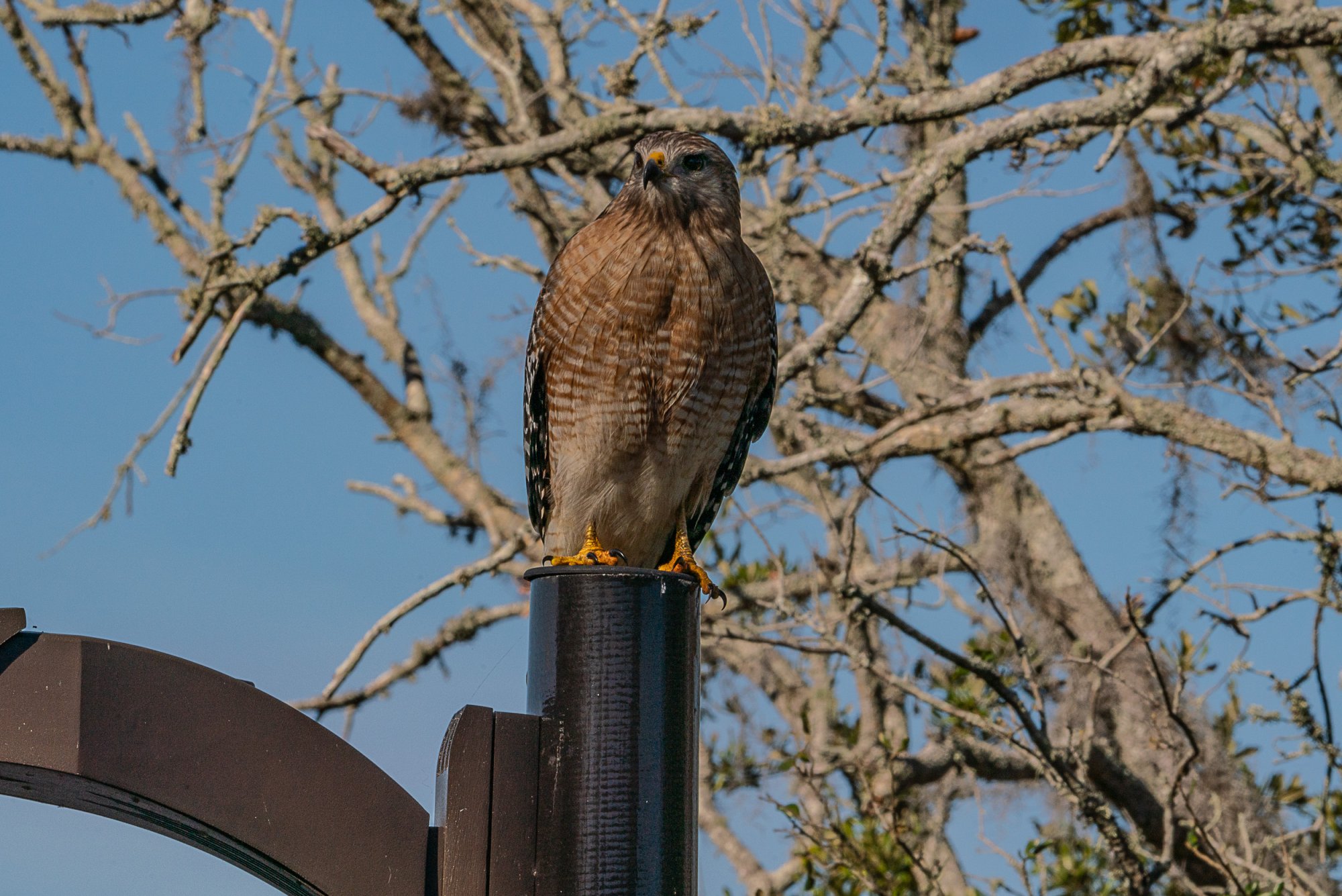 Tibet-Butler Preserve - 2500px-6.jpg