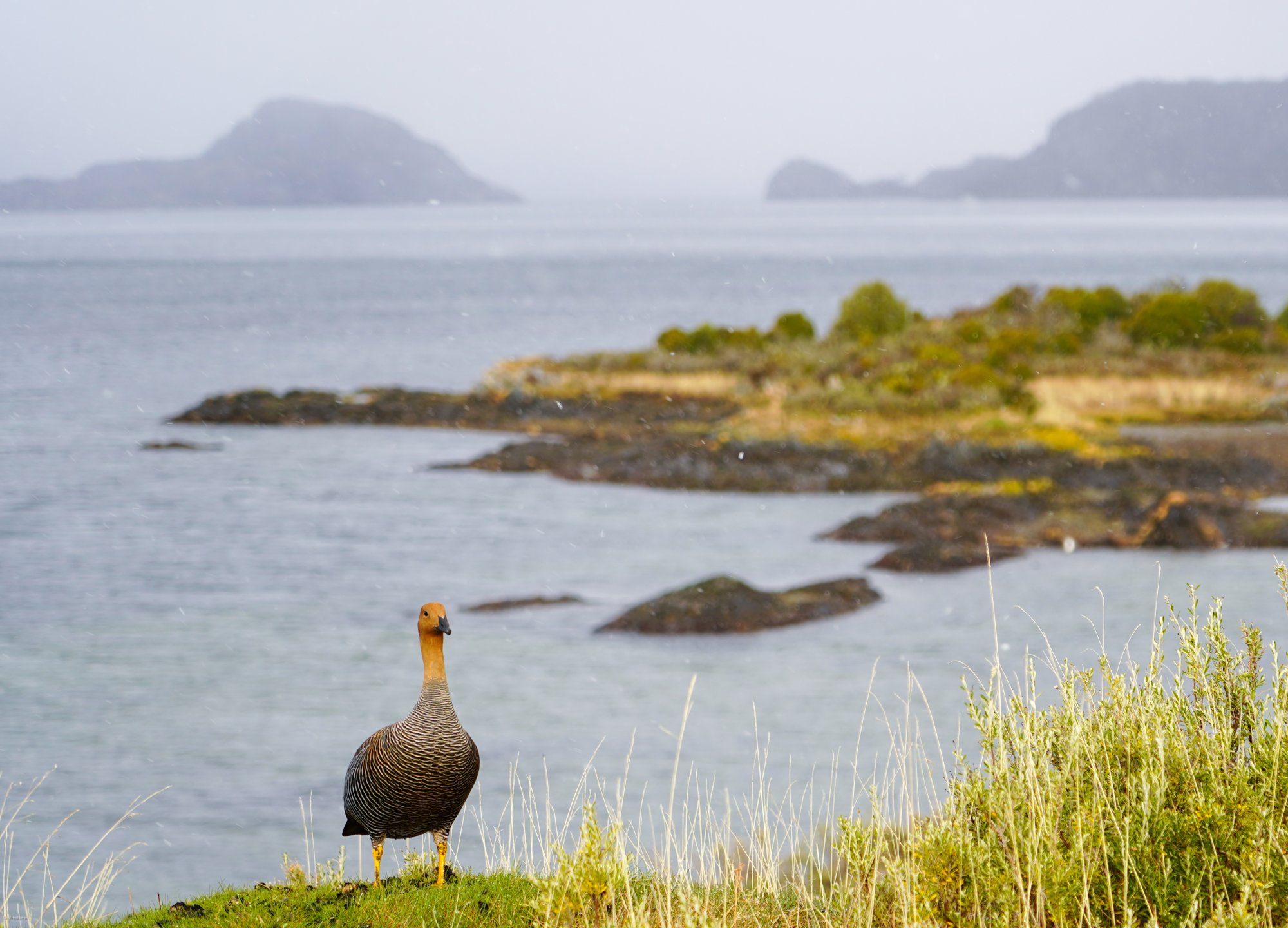 Tierra del Fuego National Park.jpg