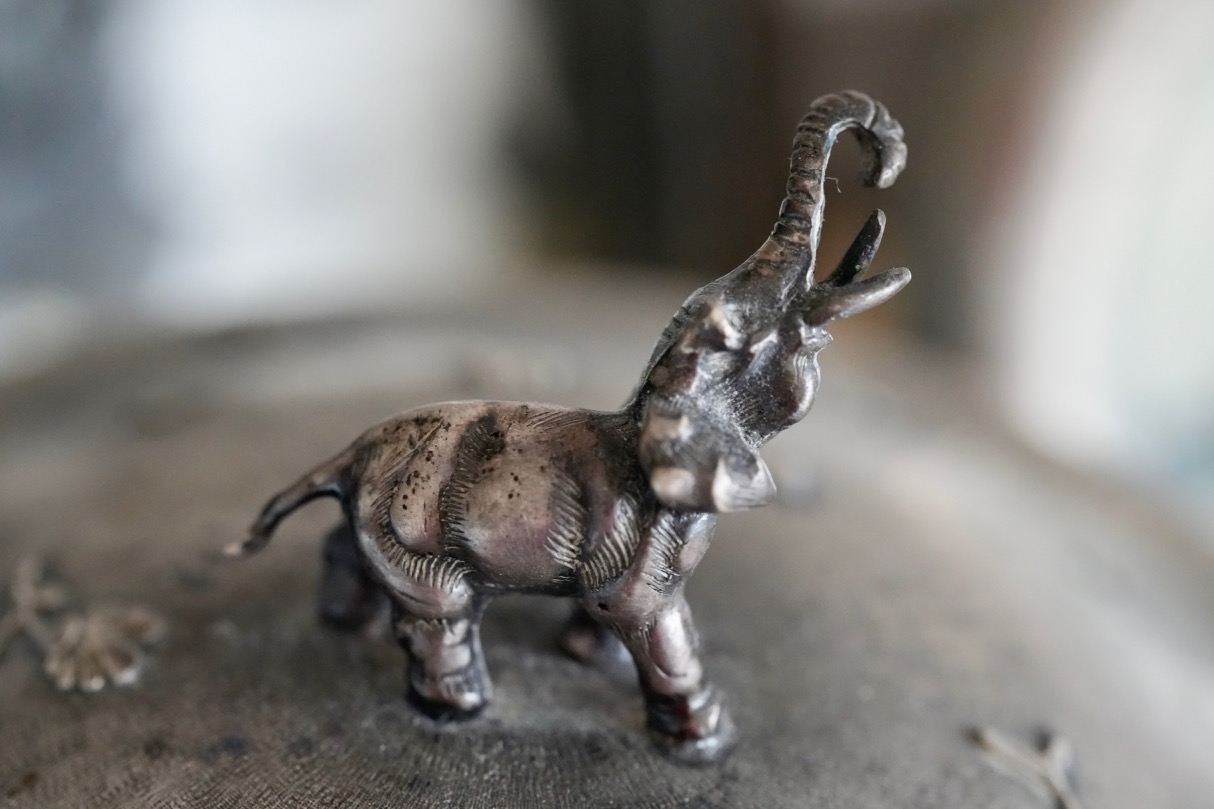 tiny elephant.jpg