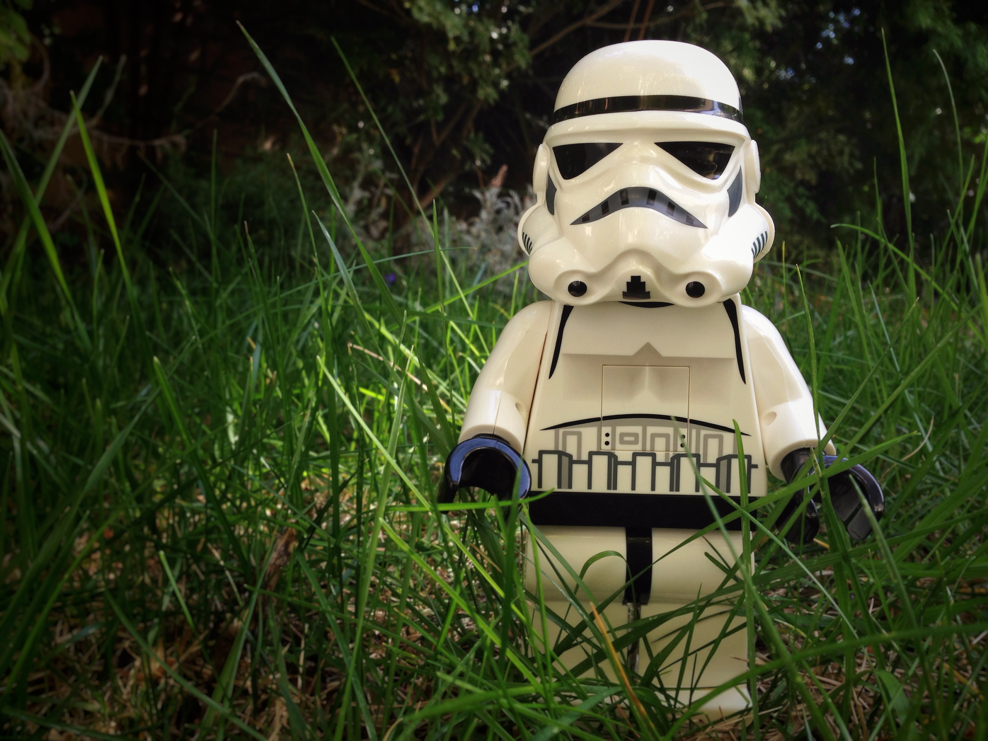 TK-421 Lawn.jpg