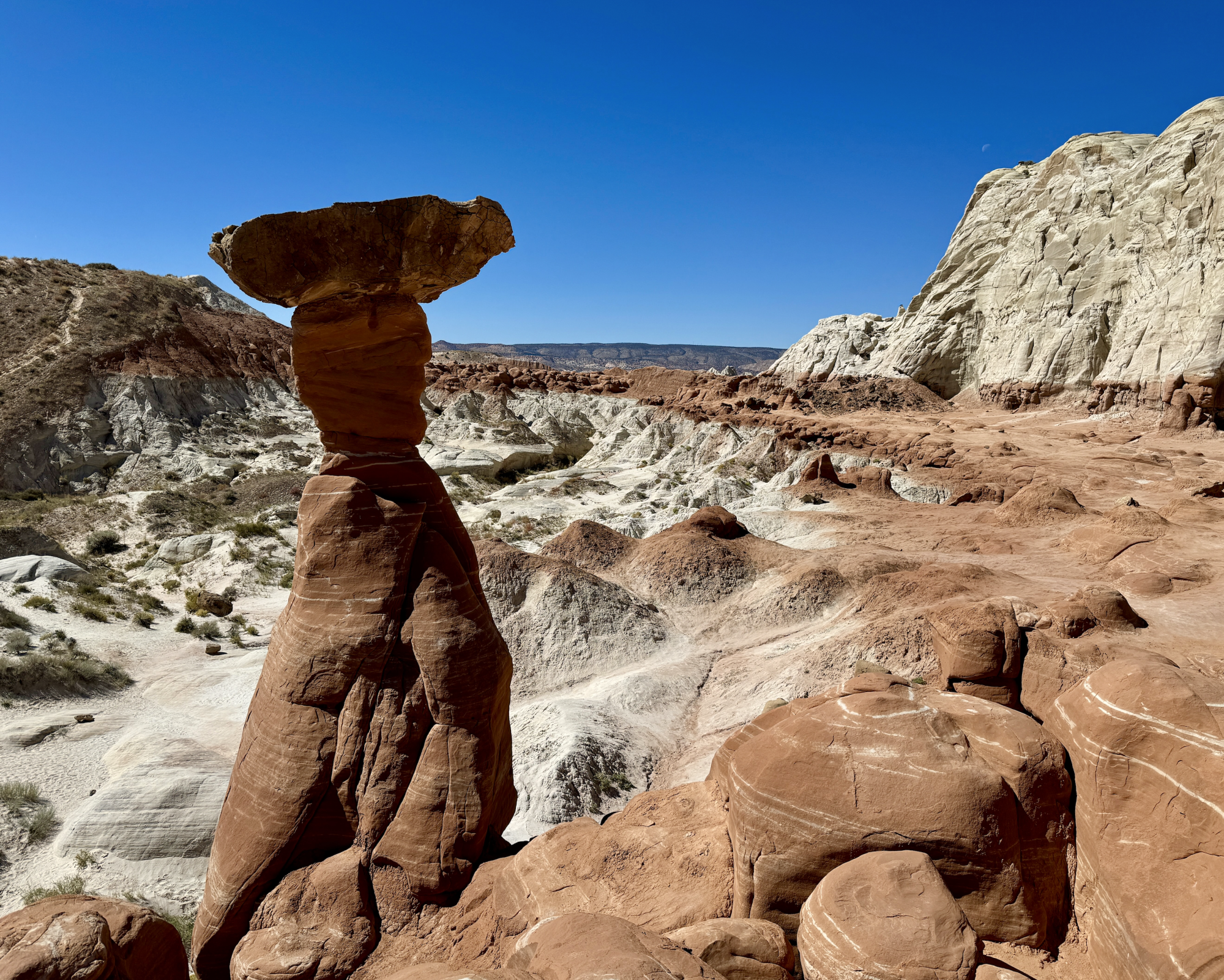 Toadstool Hoodoos.png