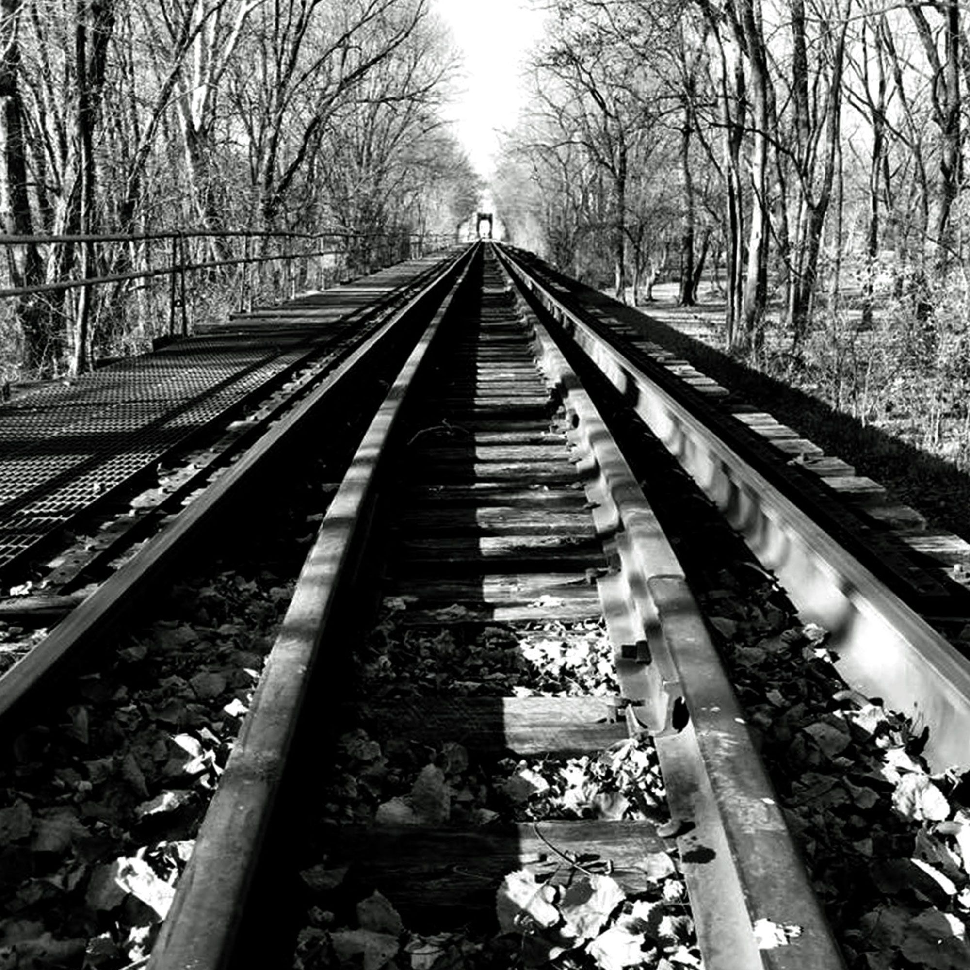 tracks2-bw.jpg