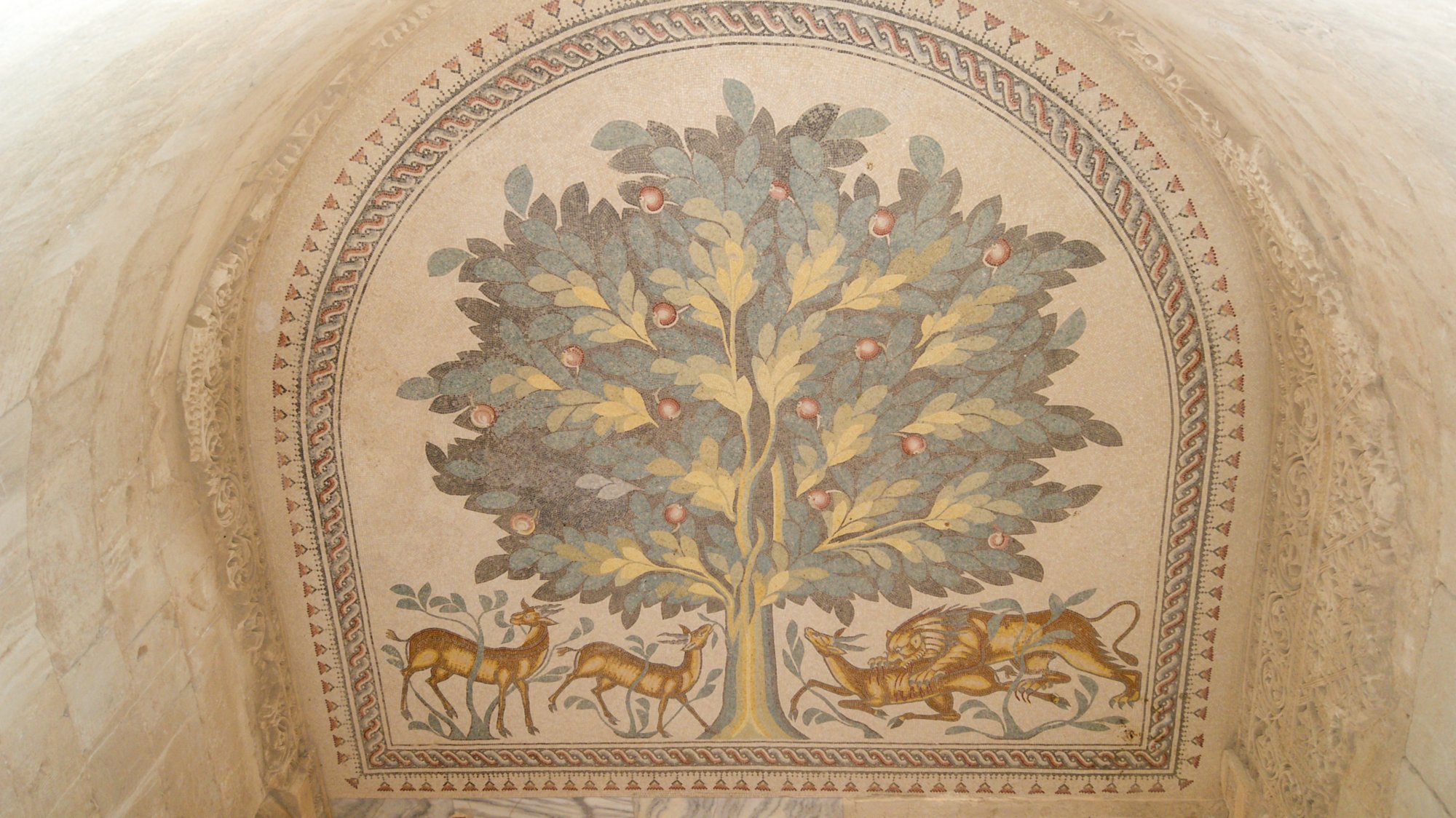 Tree of Life.jpg