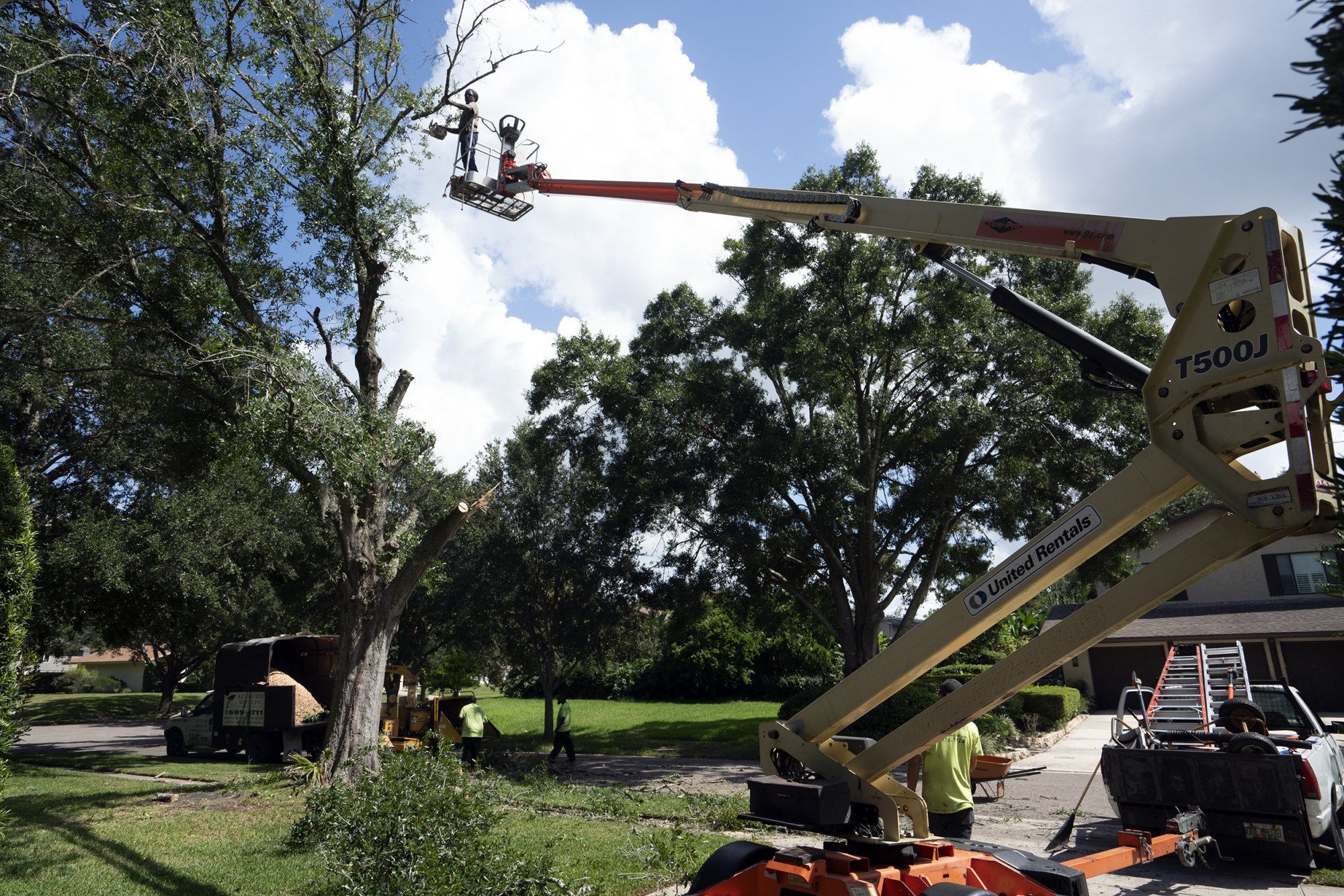 Tree Removal 1-2500px.jpg