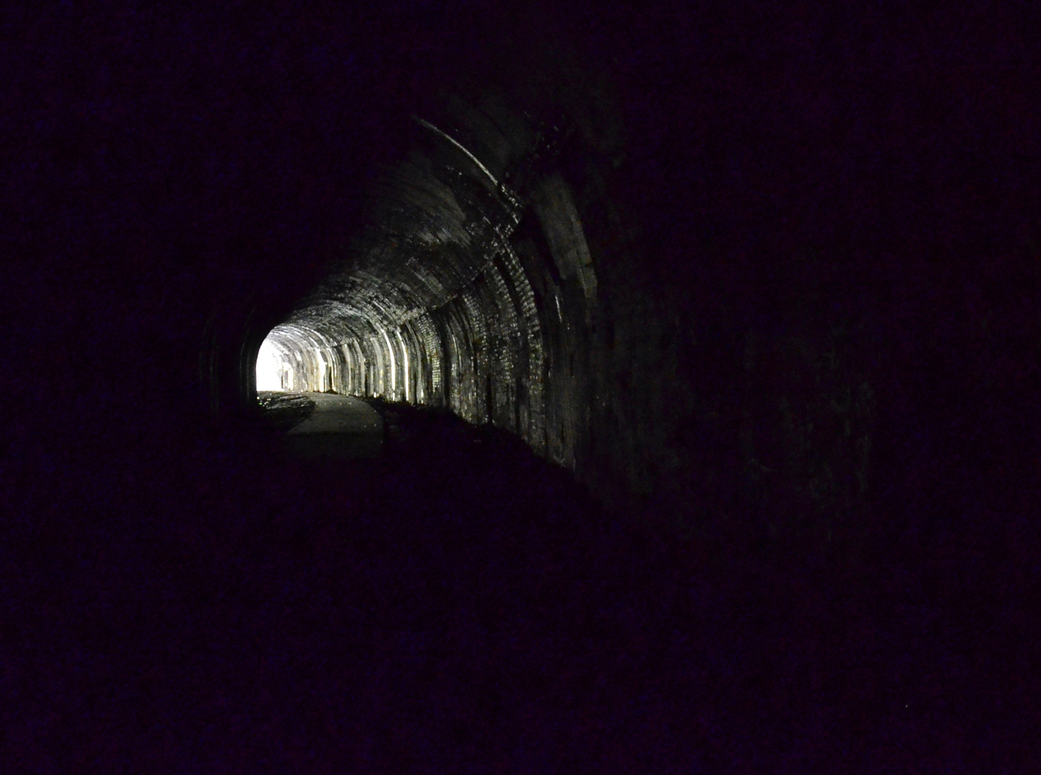 tunnel.jpg