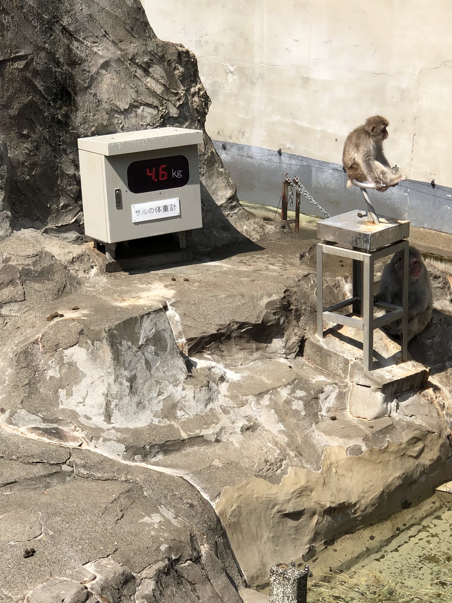 Ueno Zoo.jpg