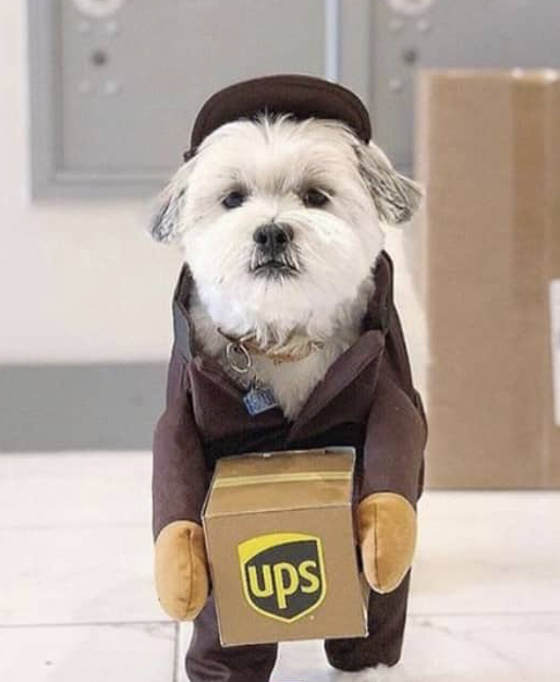 ups.driver.jpg