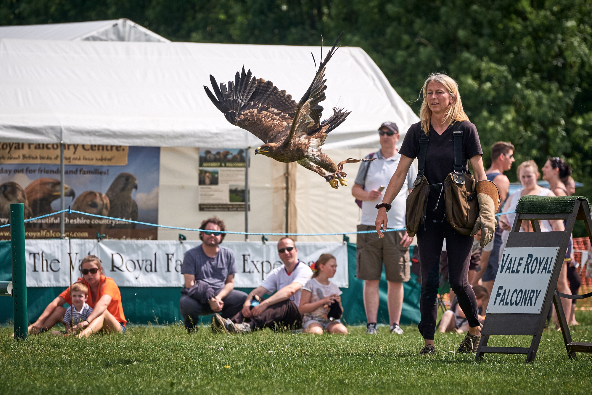 Vale_Royal_Falconry_007.jpg