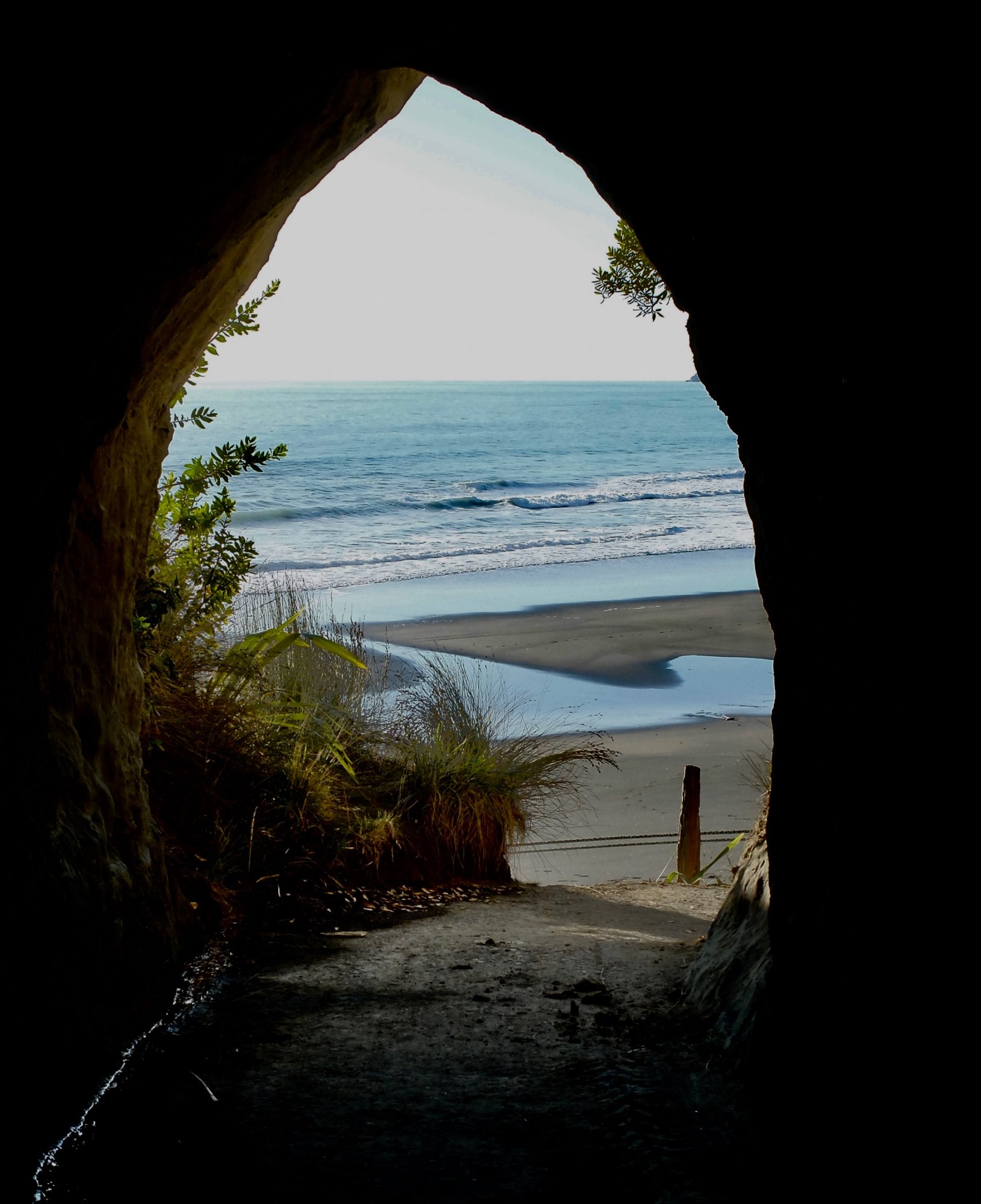 Waikawau Beach.jpg