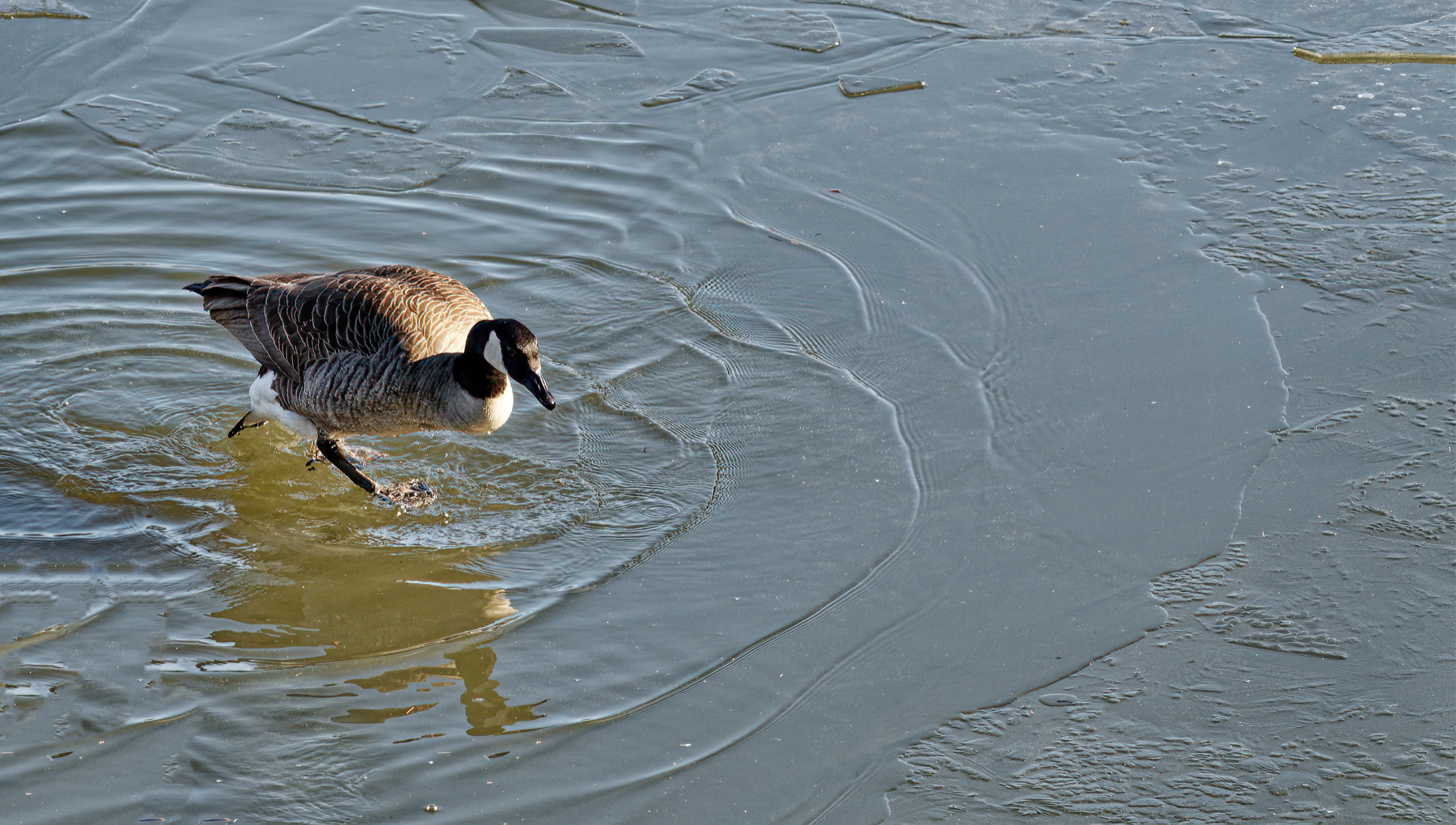 Walking on Water.jpeg