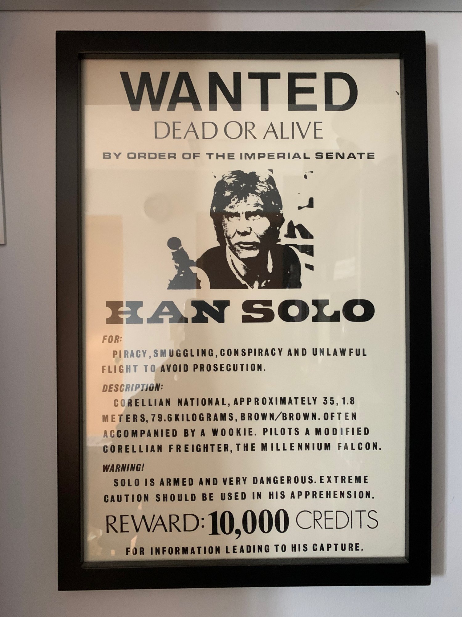 Wanted - Han Solo.jpeg