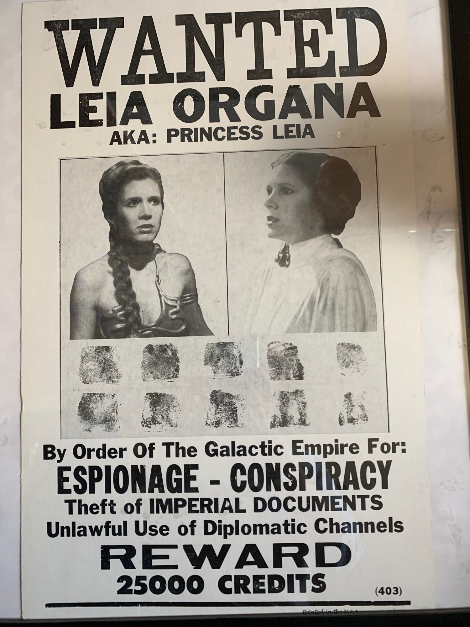 Wanted - Princess Leia.jpeg