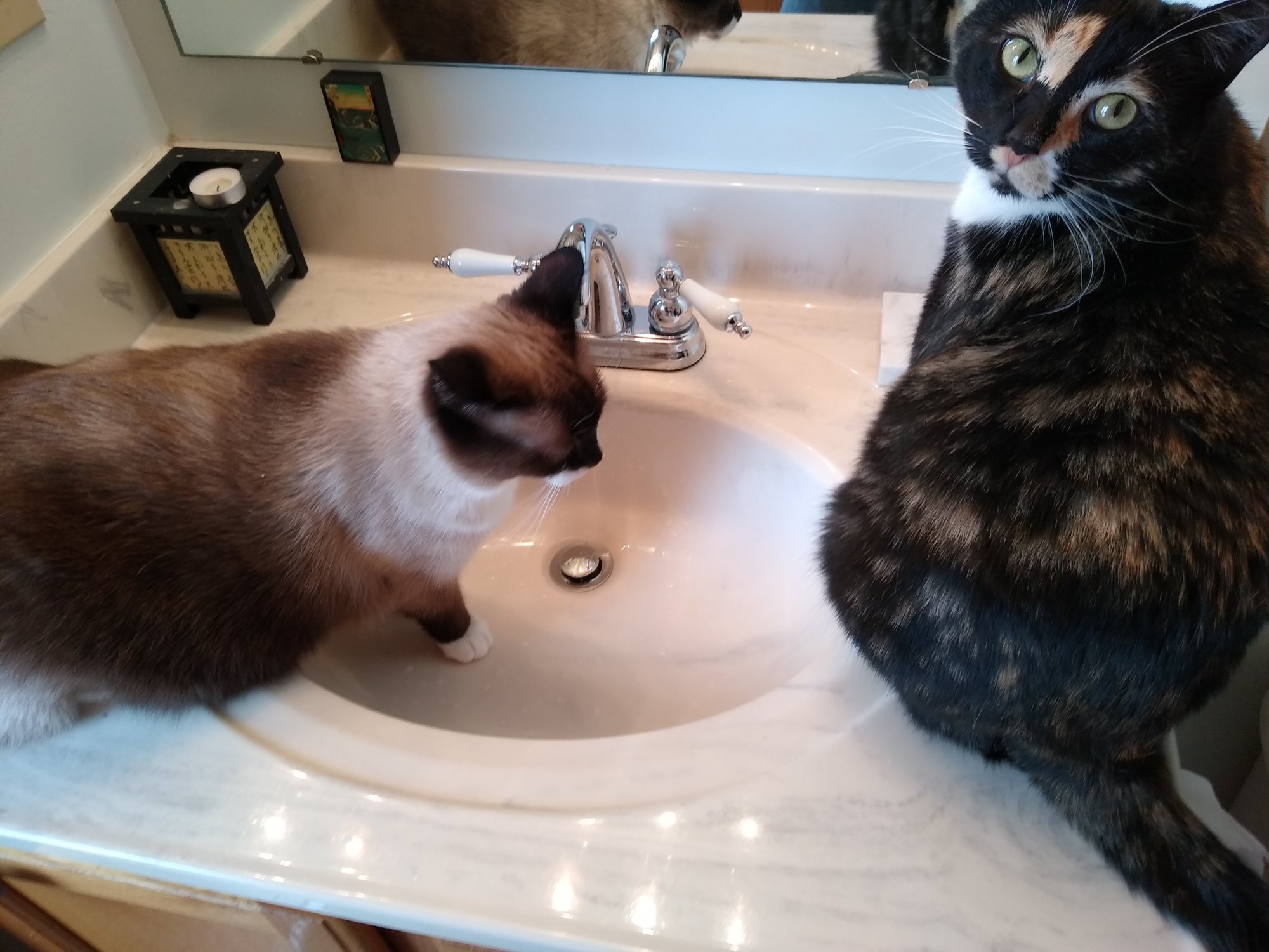 Watson and Sherlock at sink.jpg