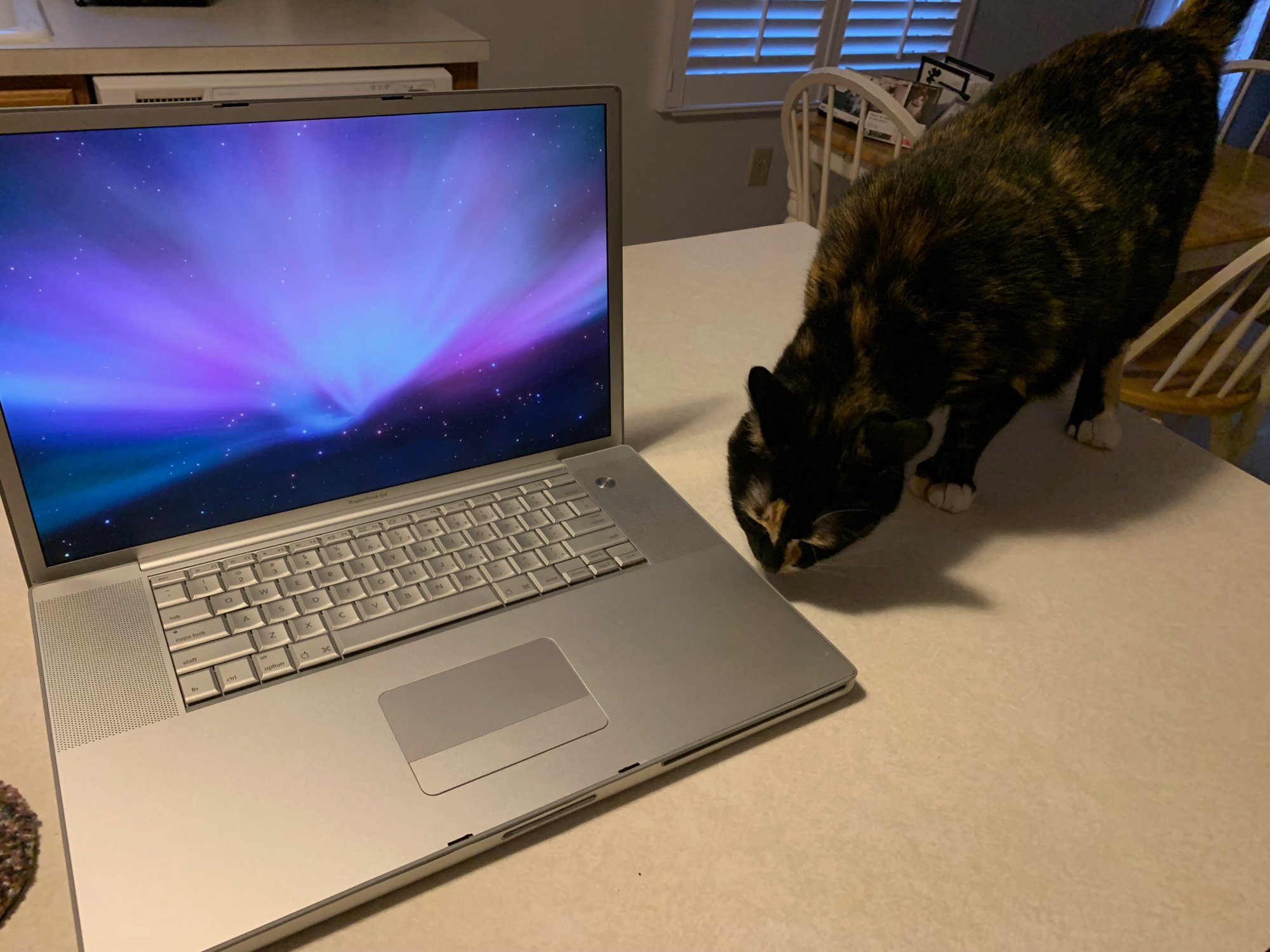 Watson next to PowerBook 17.jpeg