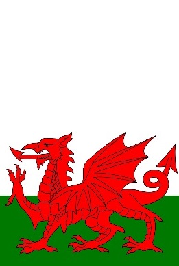 Welsh-Flag2.jpg