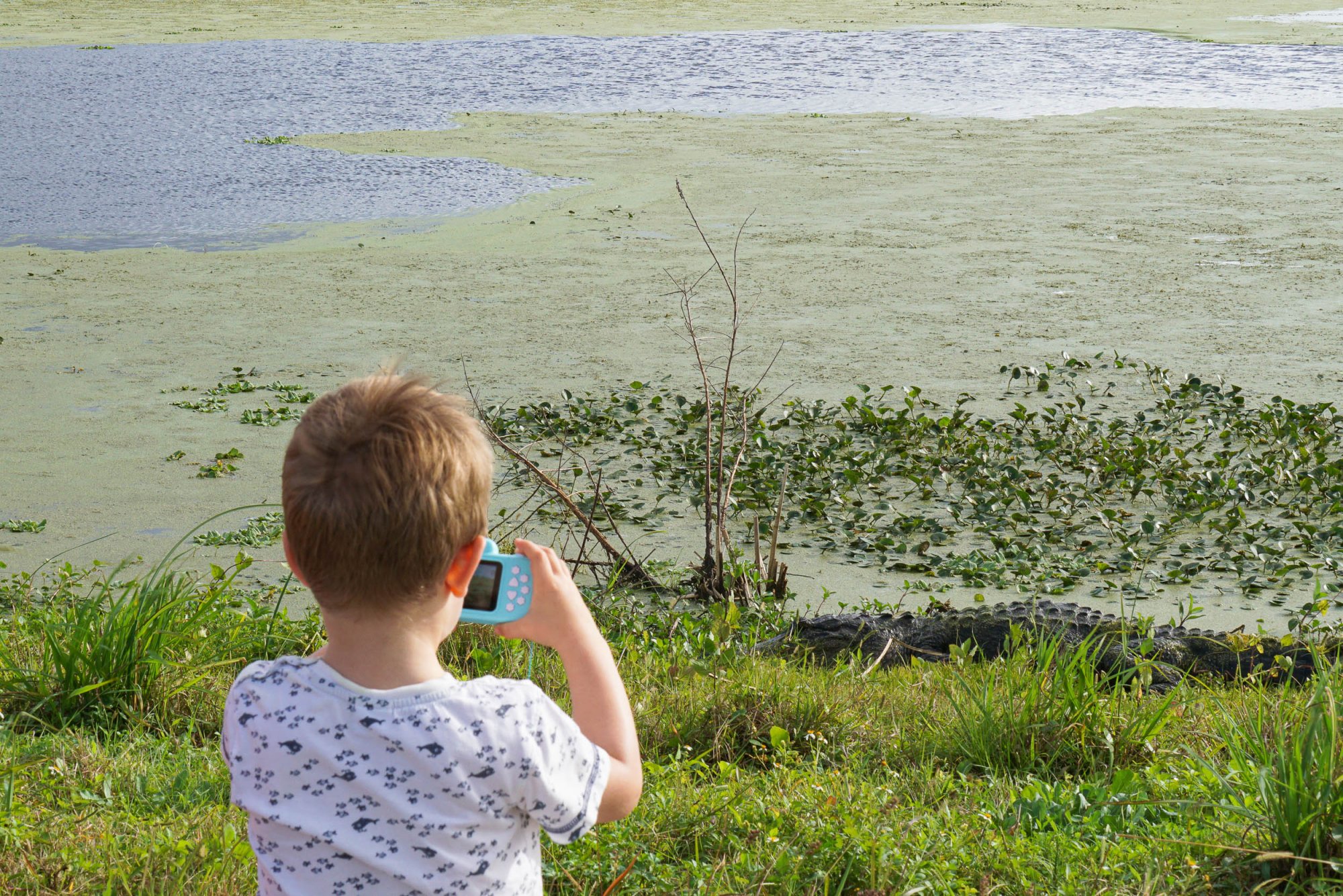 Wetlands - 2500px-10.jpg