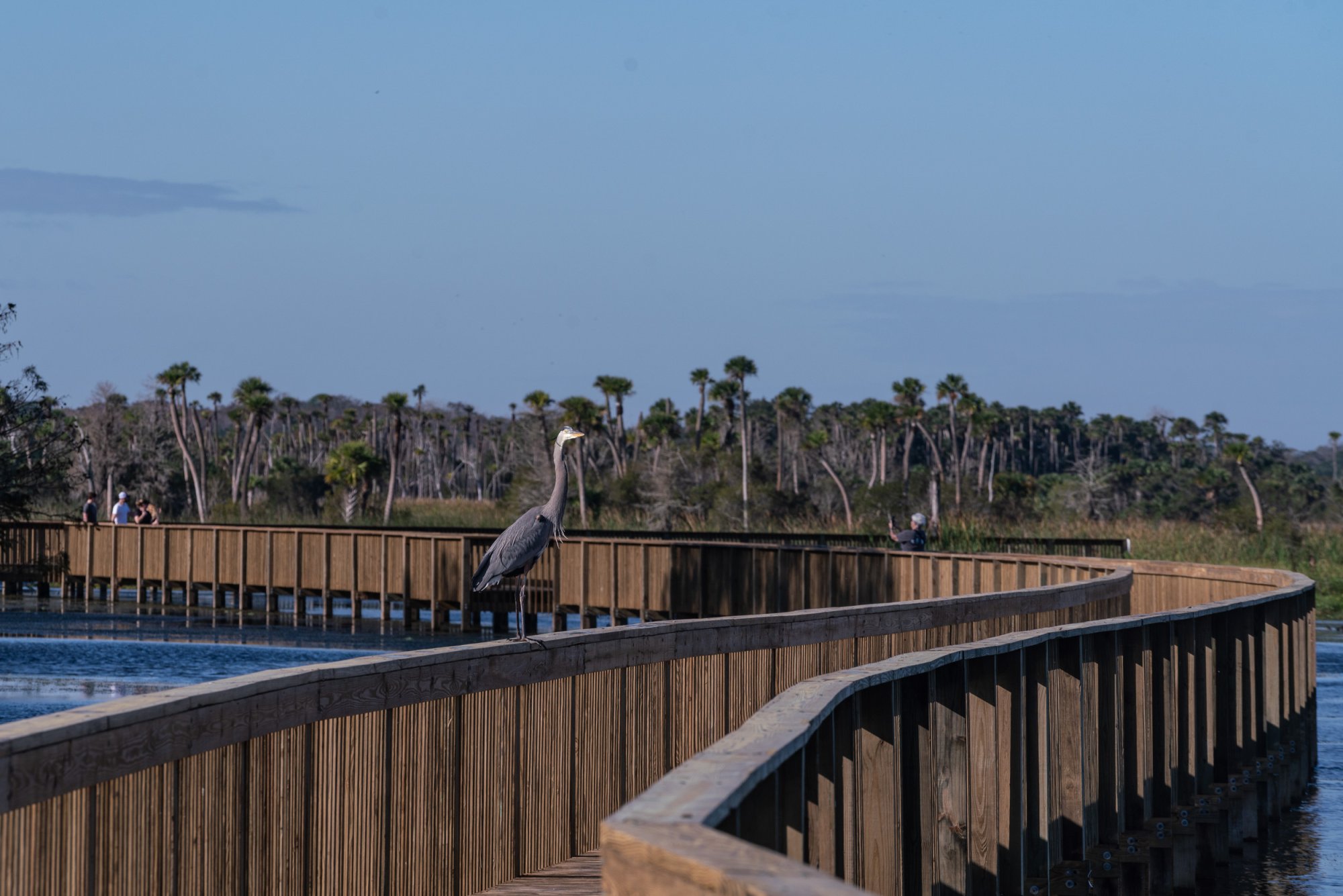 Wetlands De 2022 2500px-20.jpg