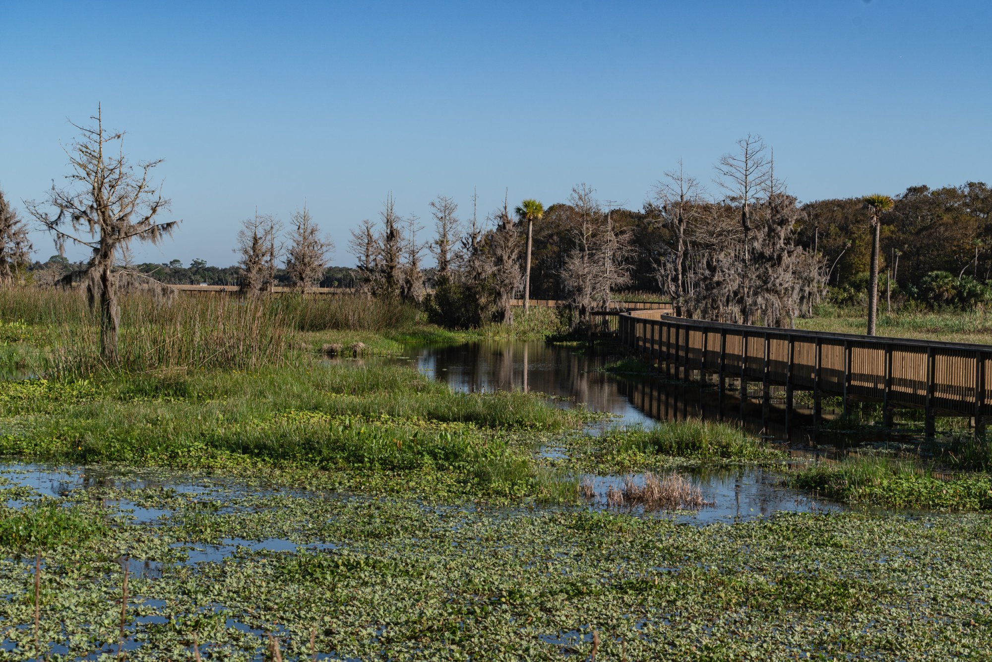 Wetlands De 2022 2500px-3.jpg