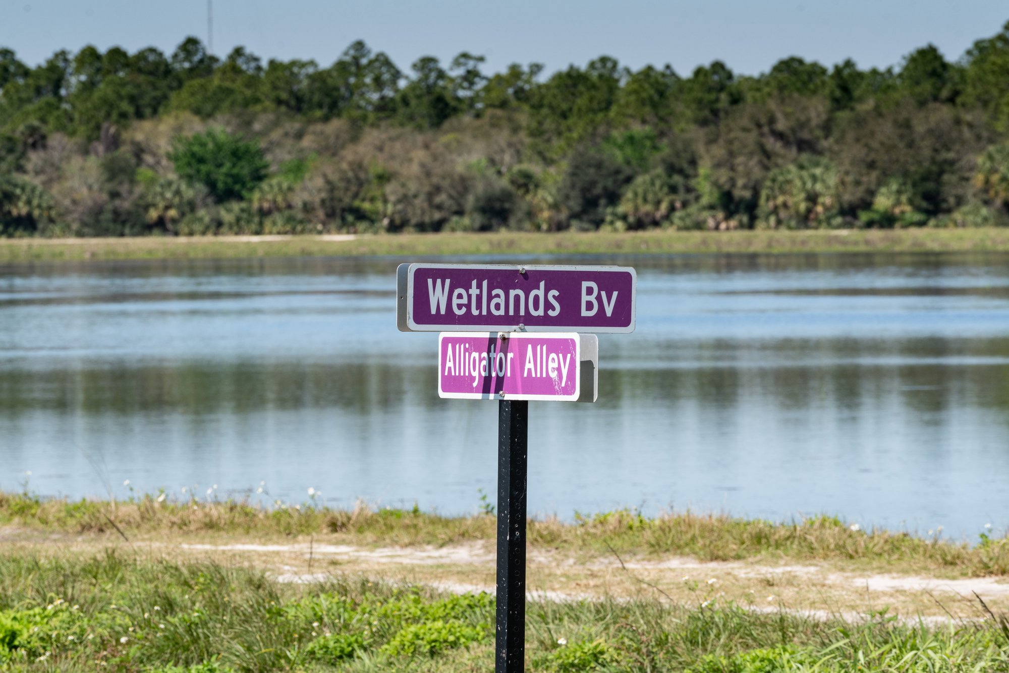 Wetlands Mar 2020-2500px-14.jpg