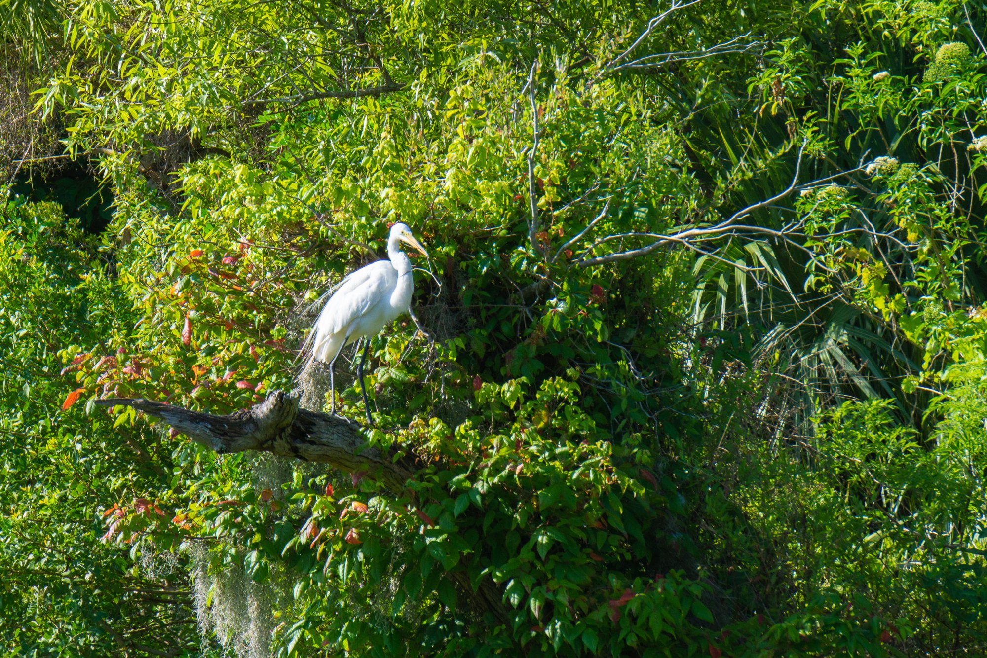 Wetlands May 2022 - 2500px-1.jpg