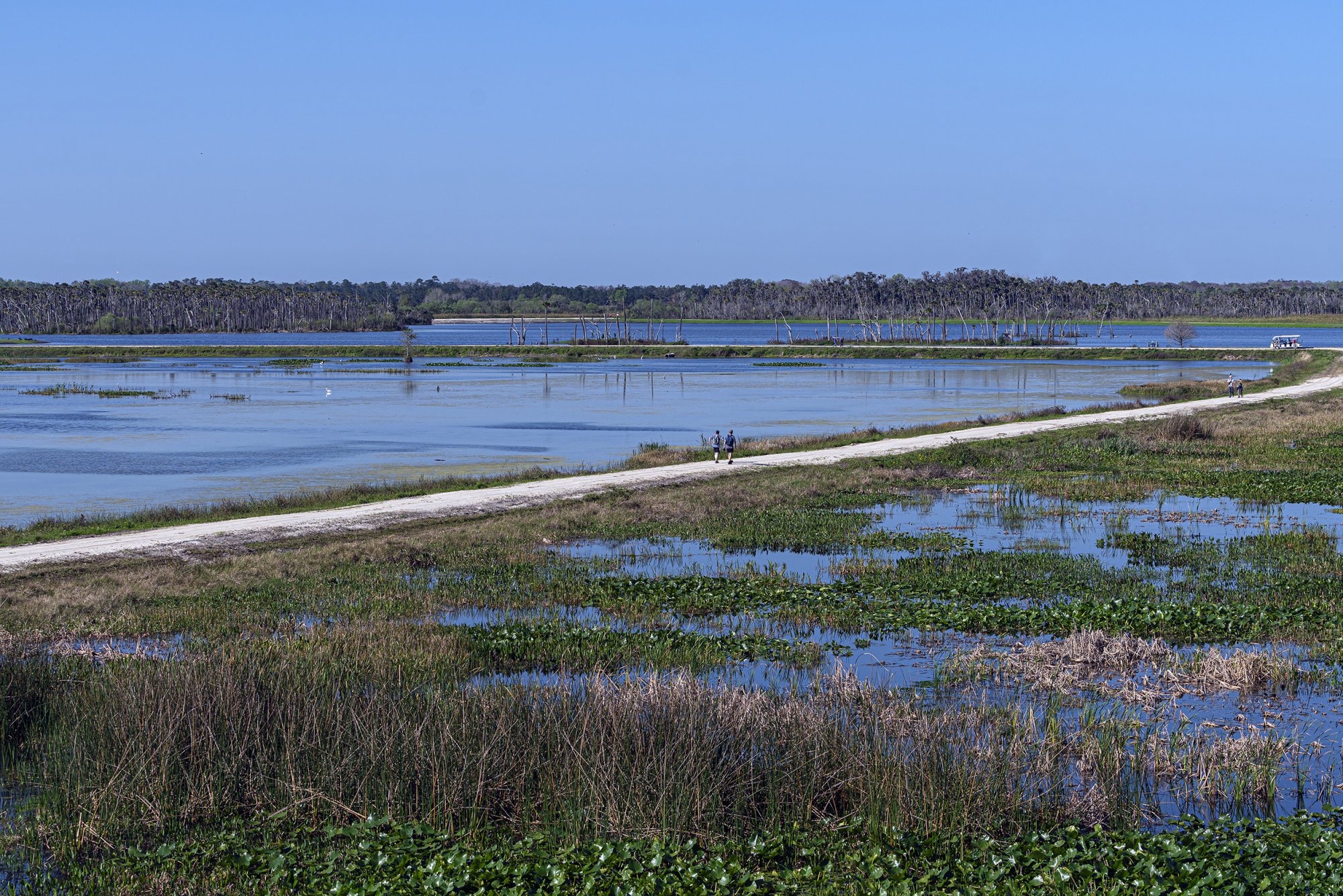 Wetlands Overview 2500px.jpg