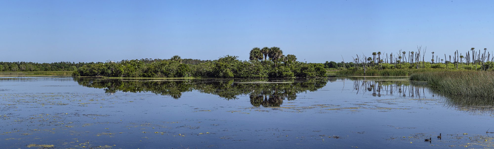 Wetlands pano 1 - 7,000px.jpg