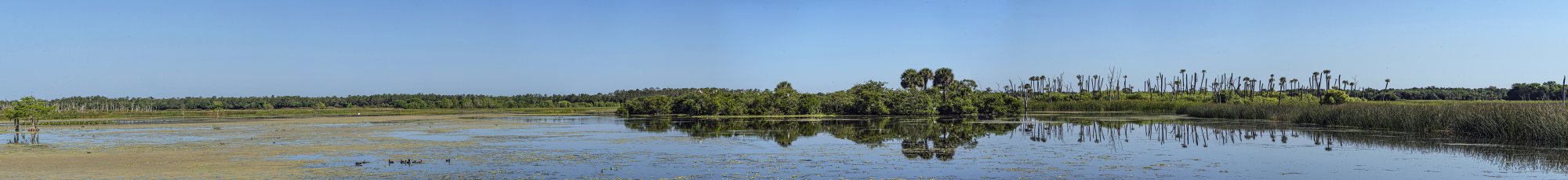 Wetlands pano3 - 9000px.jpg