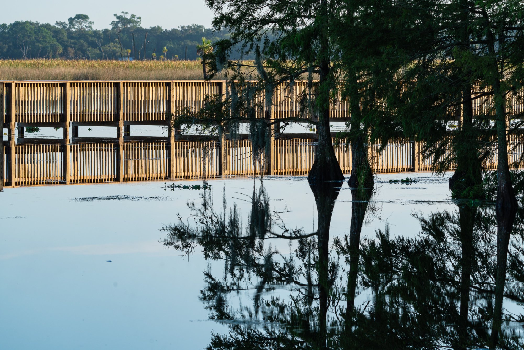 Wetlands Sept 23 - 2500px-8.jpg