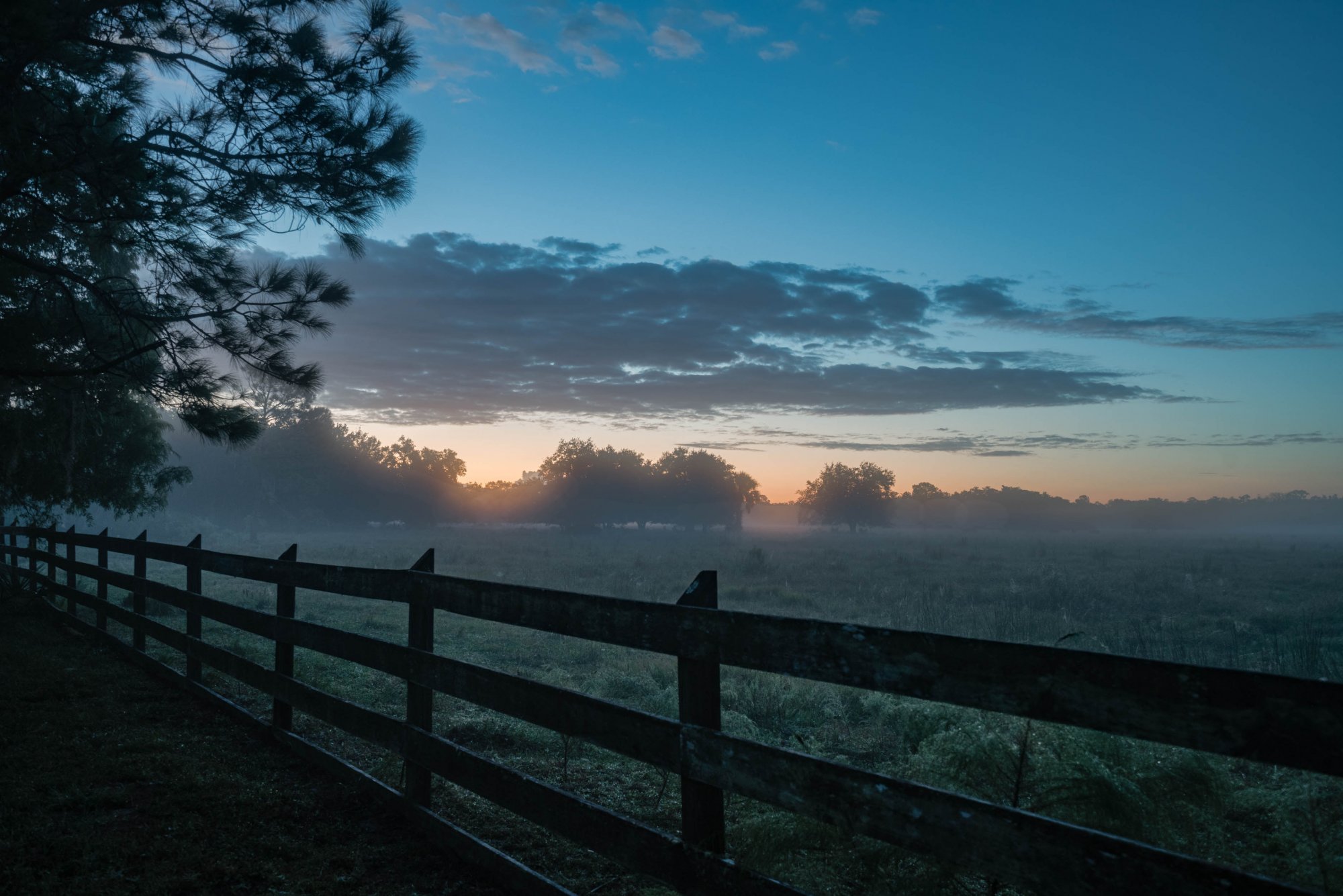 Wetlands Sunrise - 2500px-1.jpg