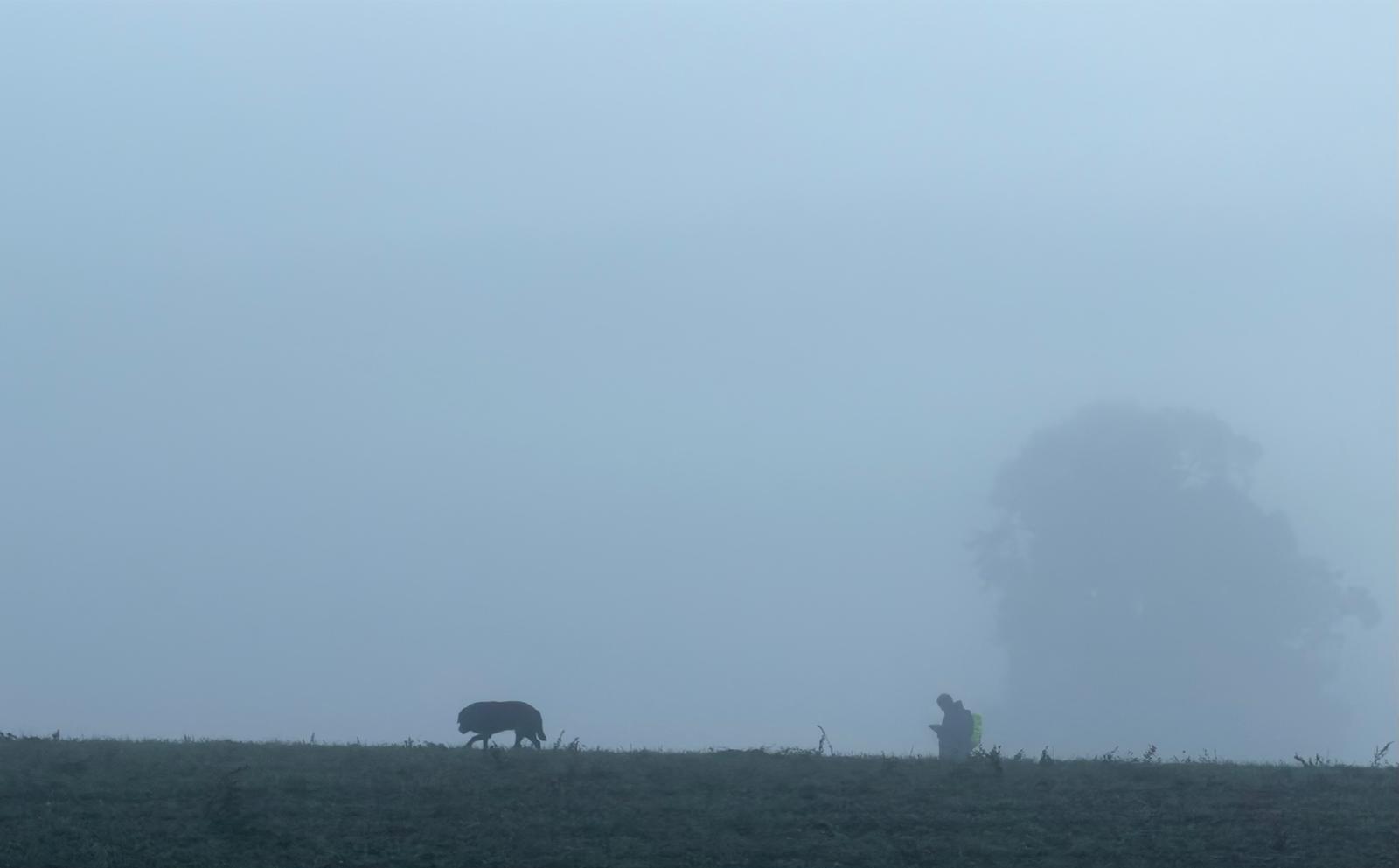 WhatsApp Image 2025-09-30 at 13.36.58_ade9dccc.jpg