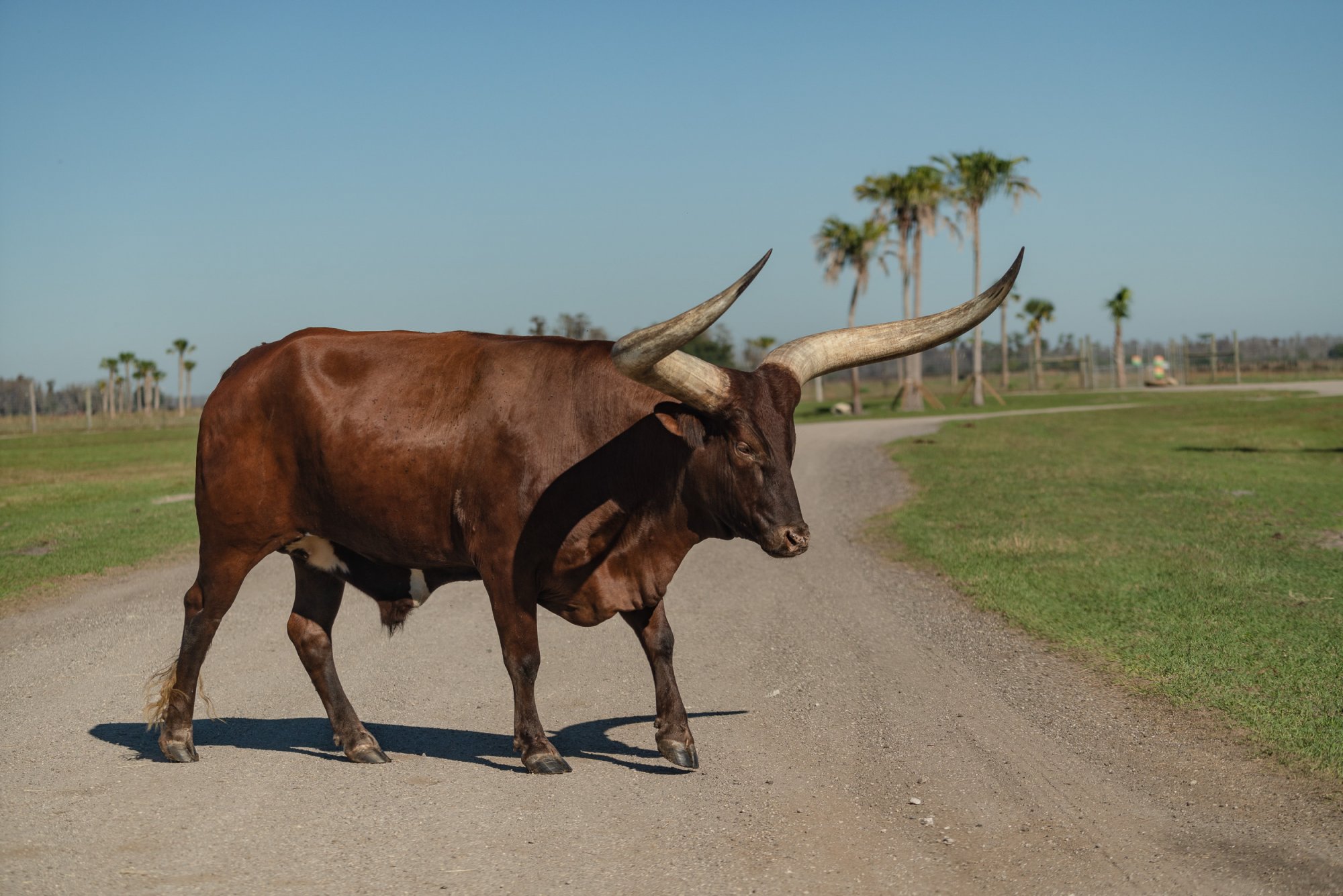 Wild Florida-2500px-53.jpg