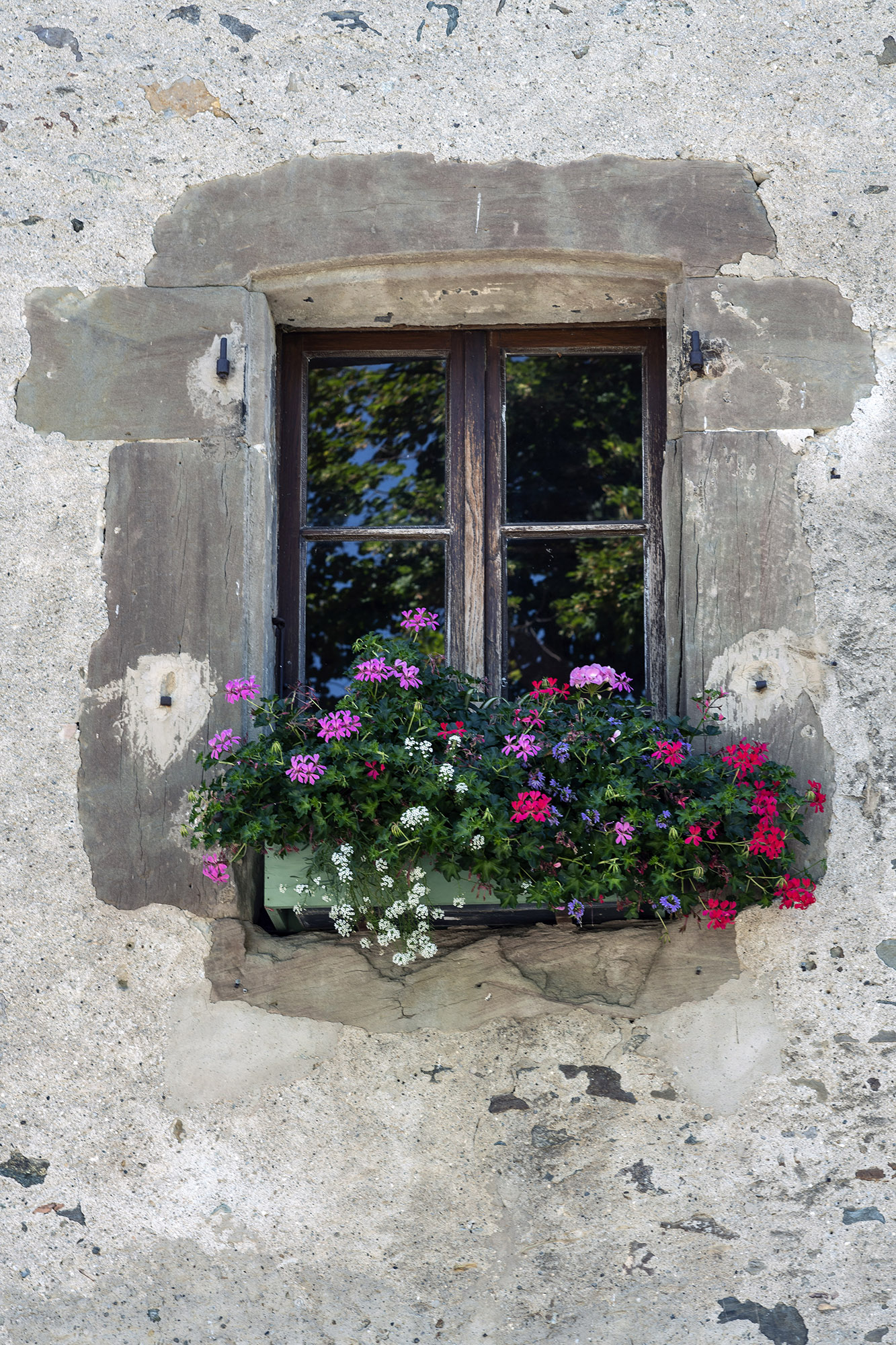 Window 2-3 ratio-2000px.jpg