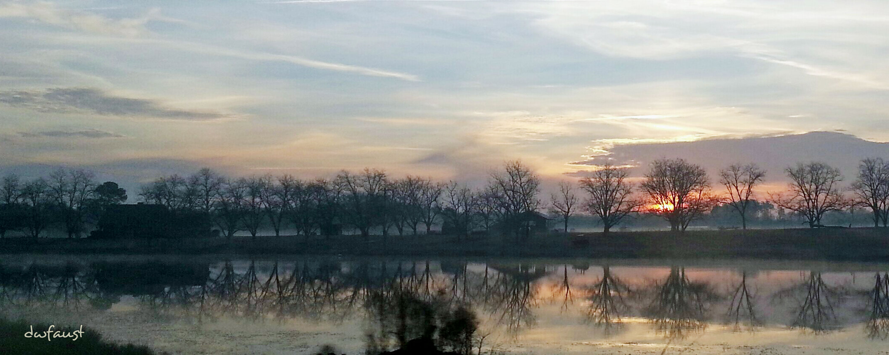 winter-trees-pano.jpg