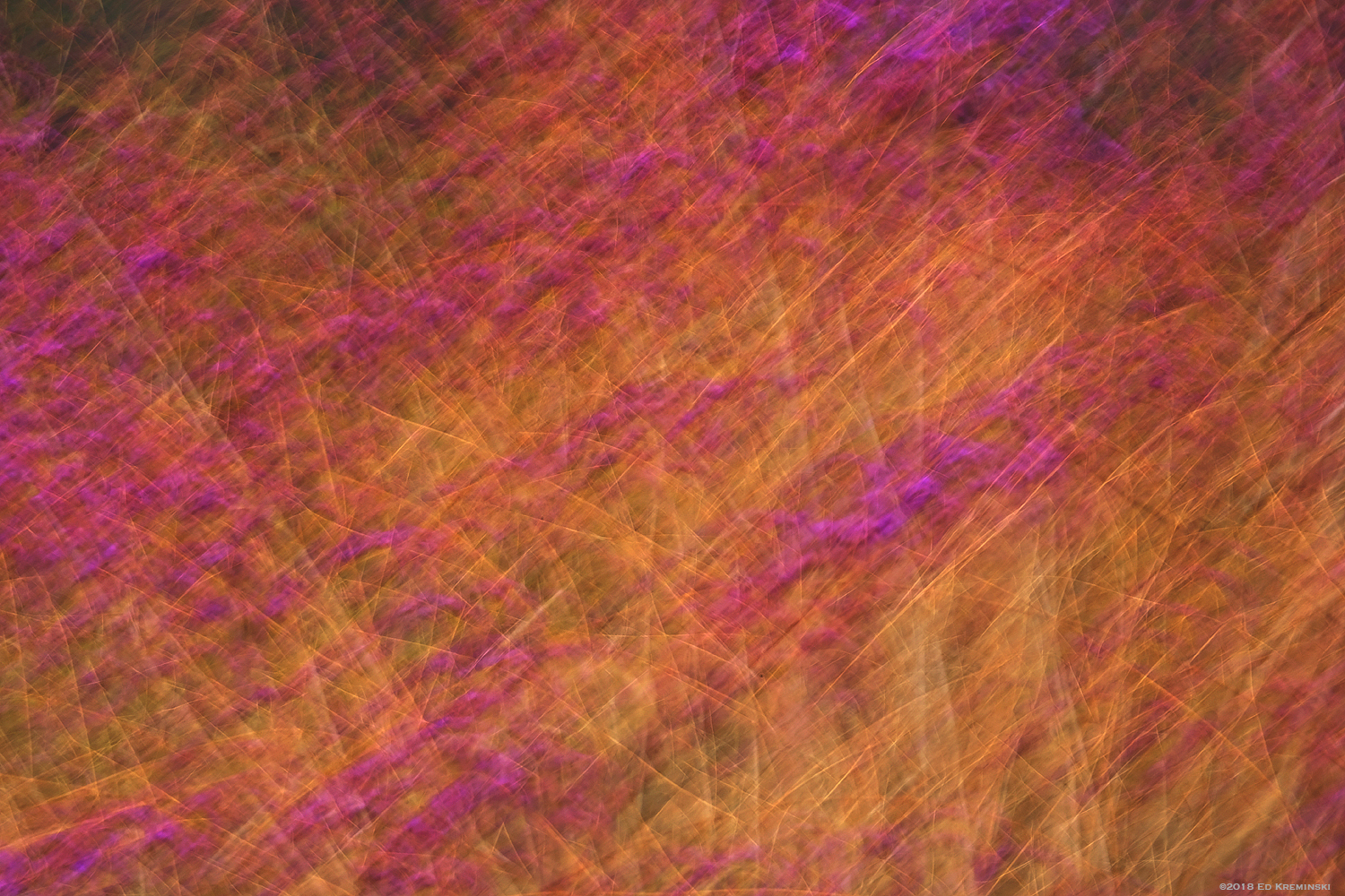 WinterPurpleBerriesBlur.jpg