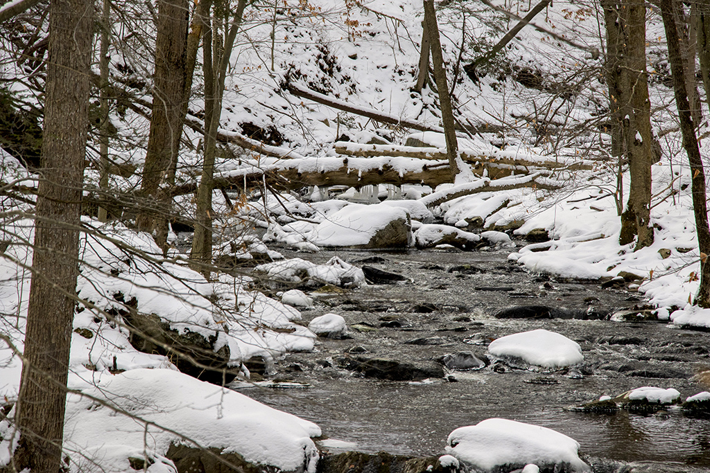 winterstream11024.jpg