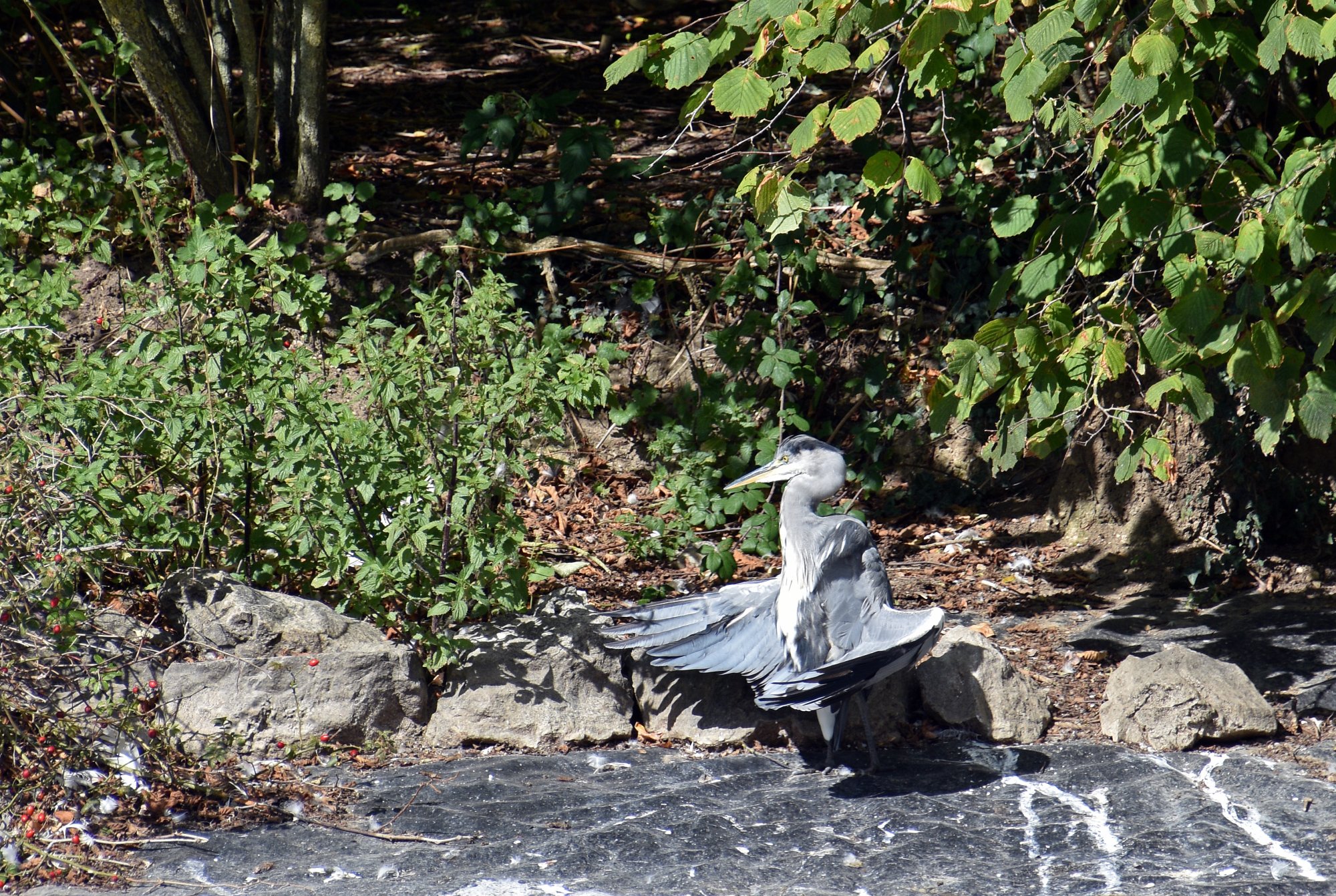 Would I lie To You?.JPG